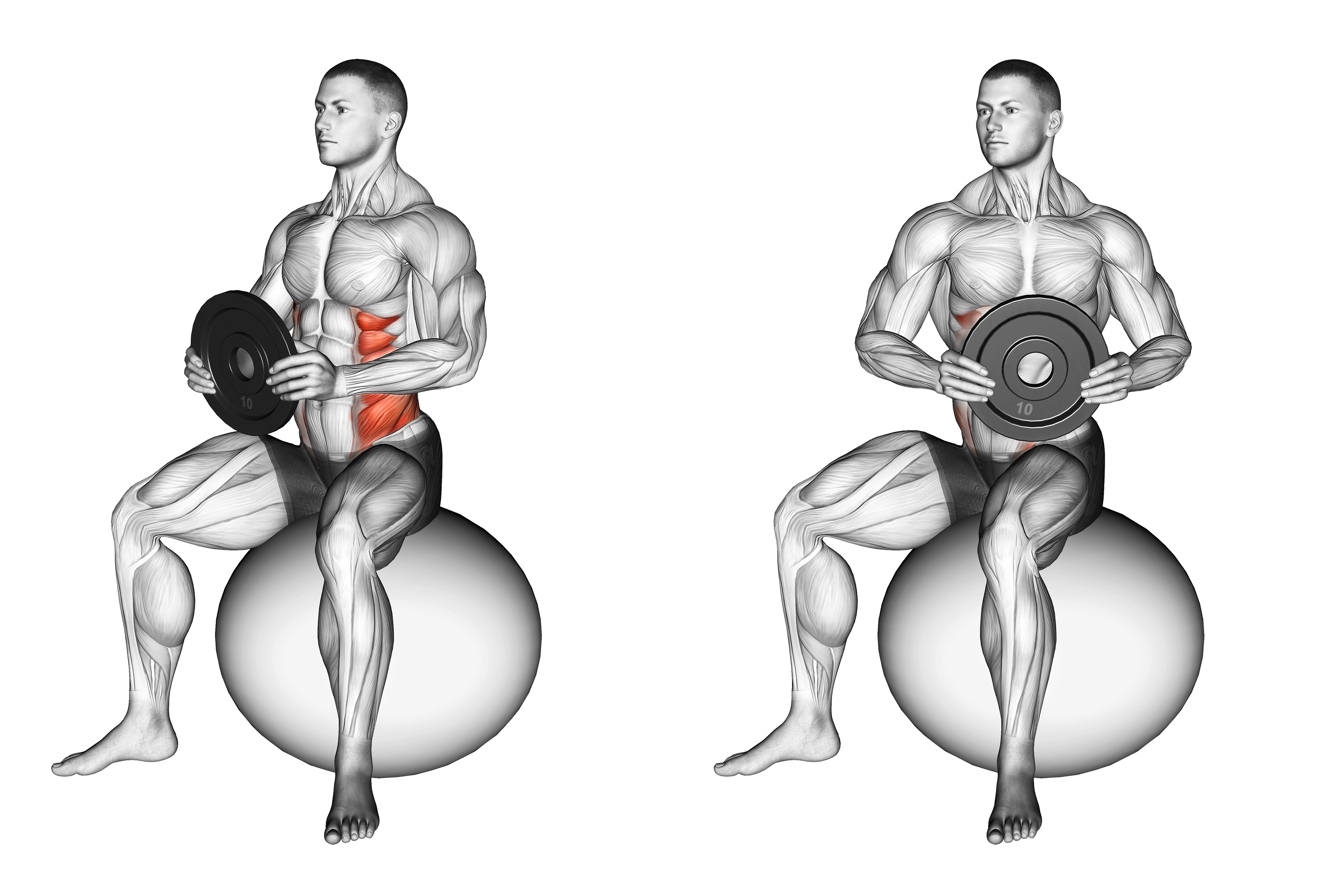 Weighted Seated Twist (on Stability Ball) Waist Max