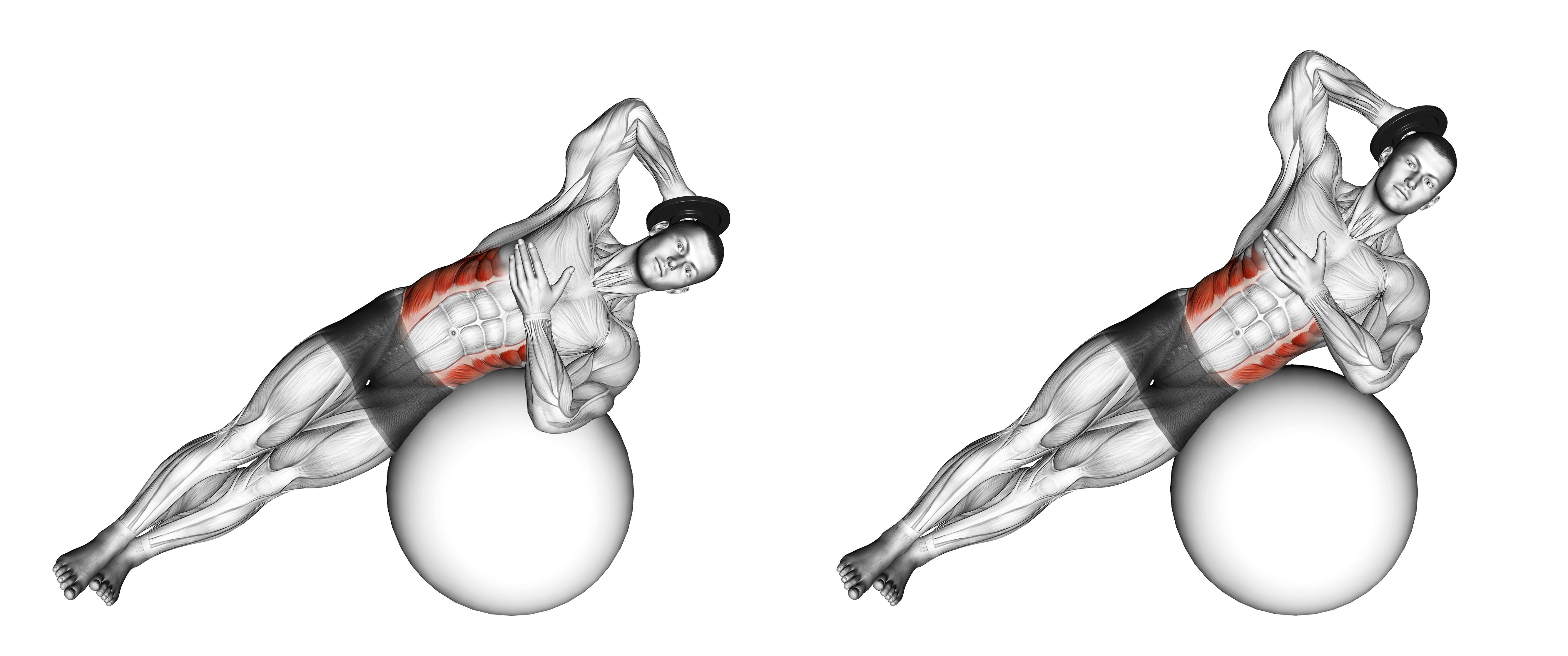 Weighted Side Bend (on Stability Ball)