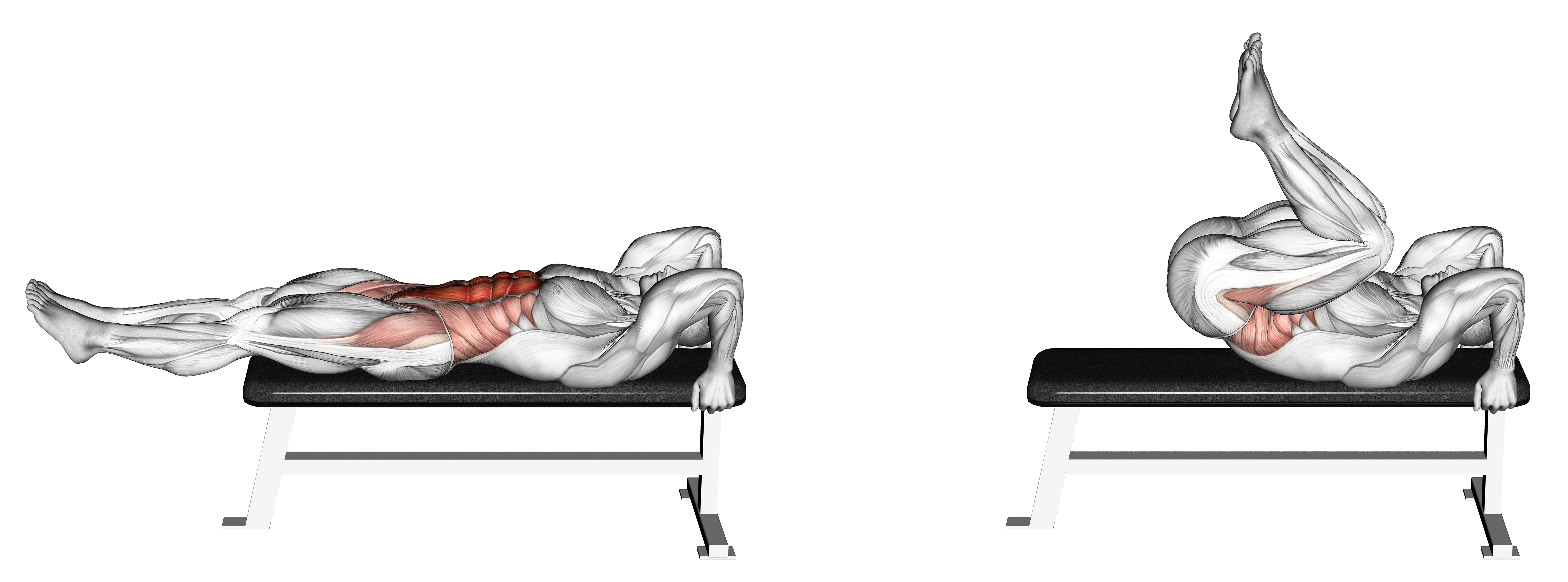 Lying Leg Hip Raise