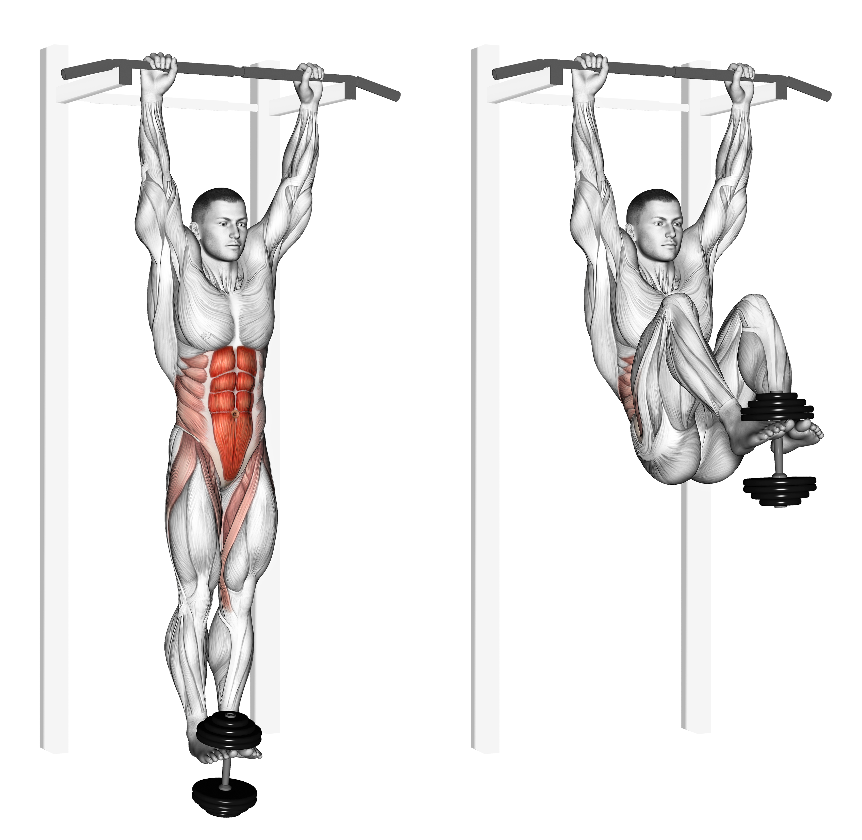 Weighted Hanging Leg Hip Raise