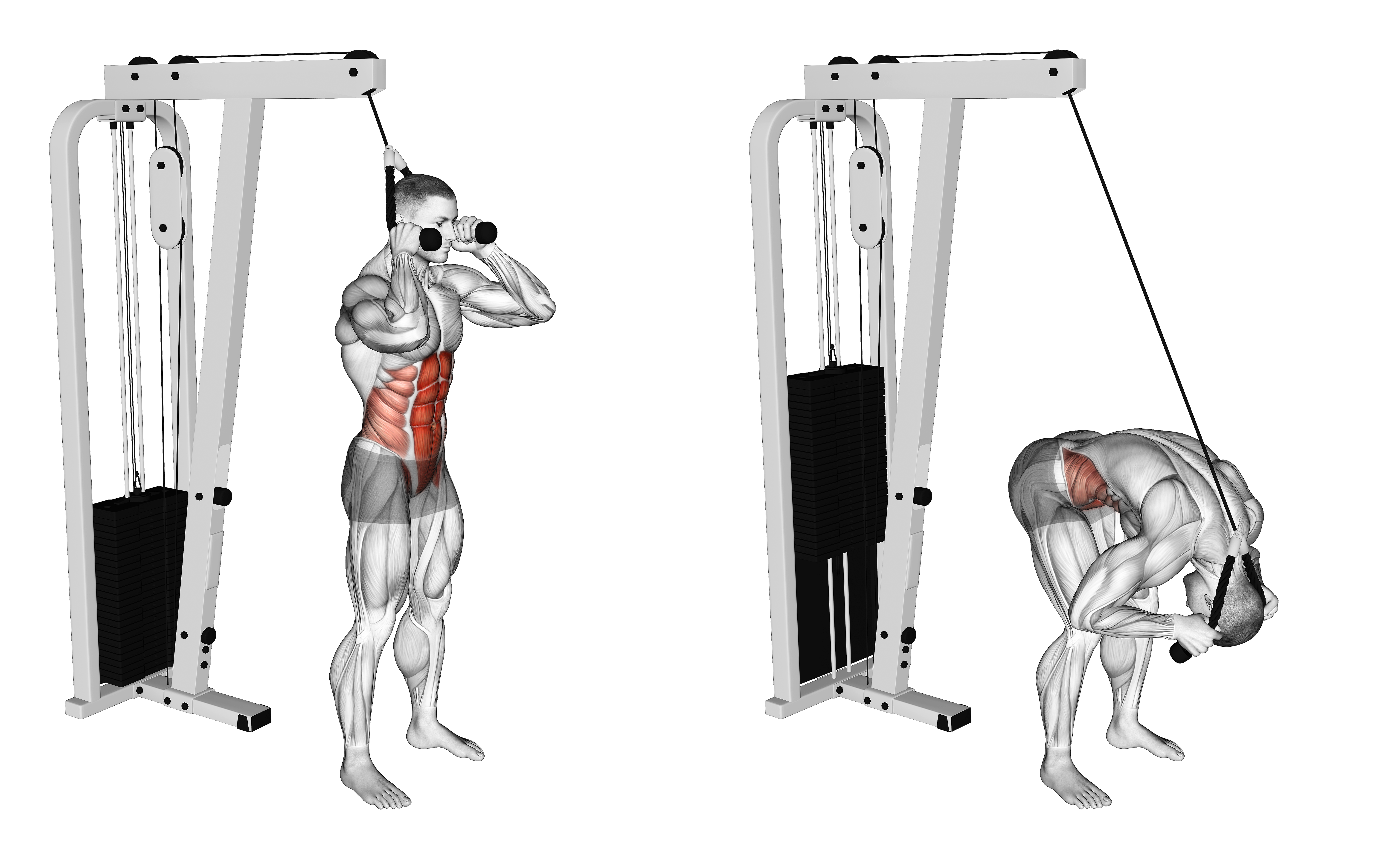 Cable Standing Crunch (with Rope Attachment)
