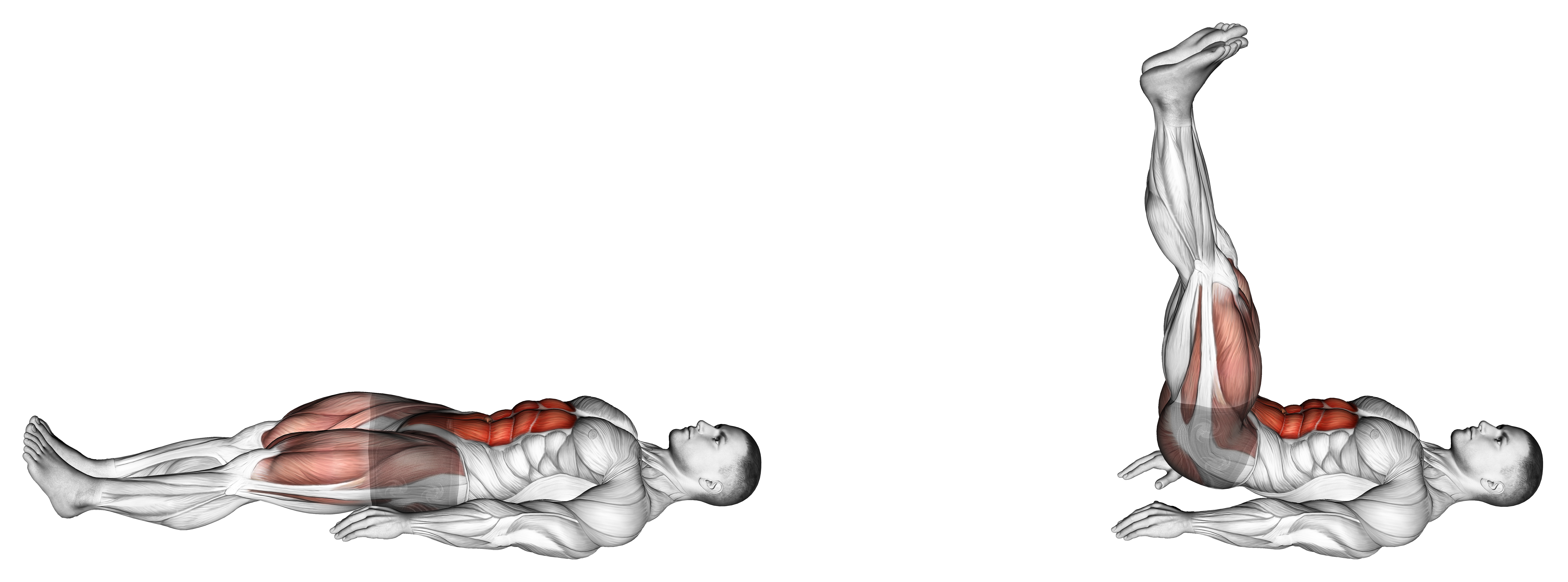 Lying Leg Raise