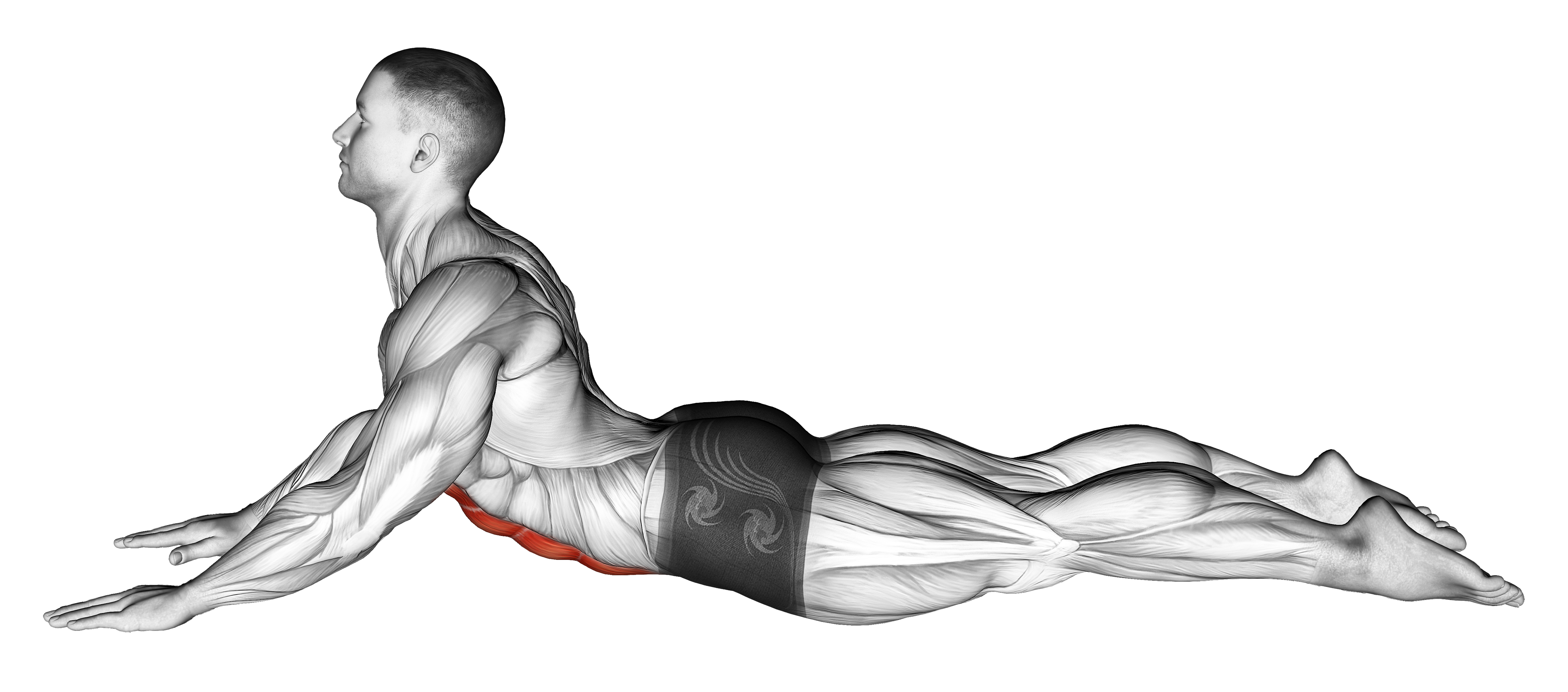 Lying (prone) Abdominal Stretch