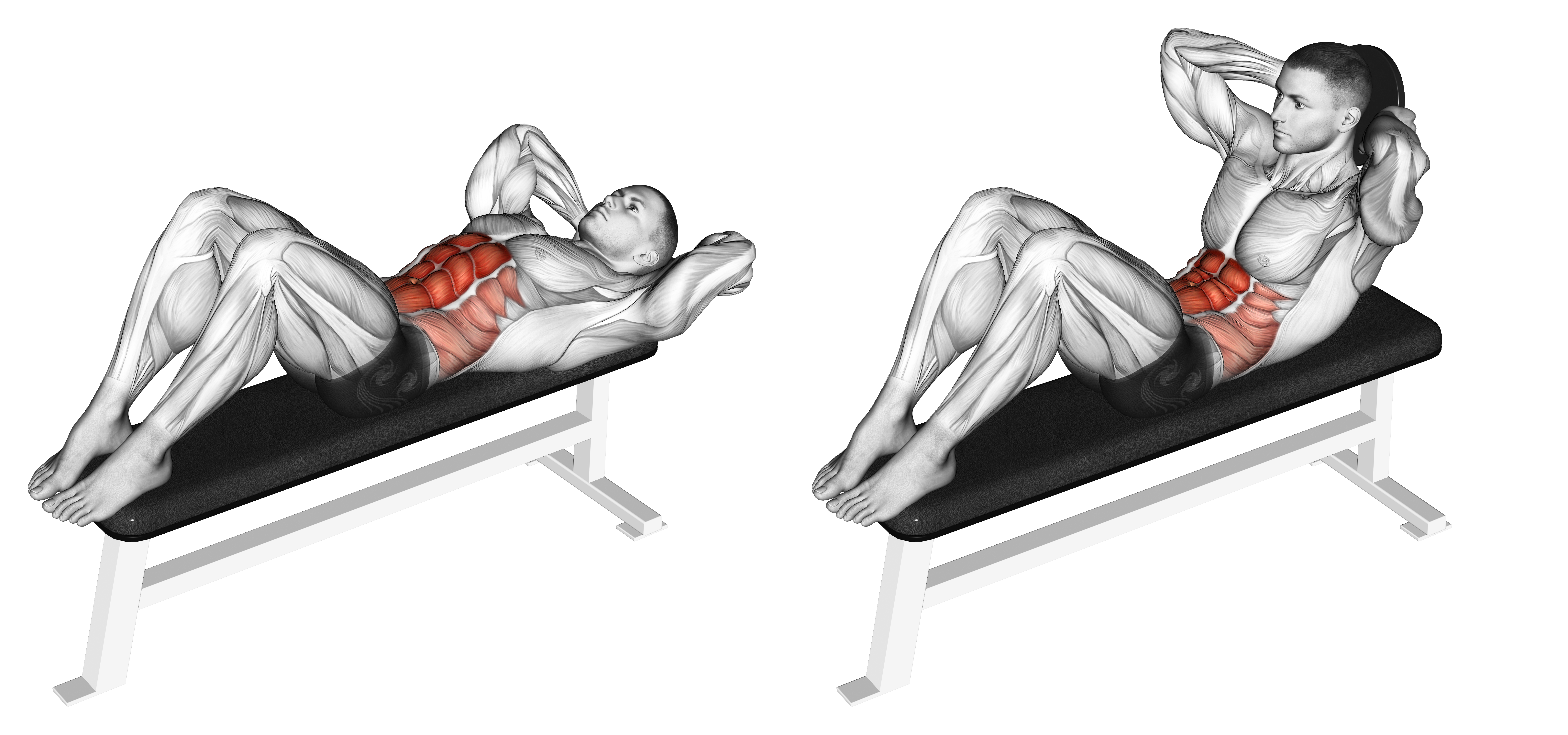 Weighted Crunch (behind Head)