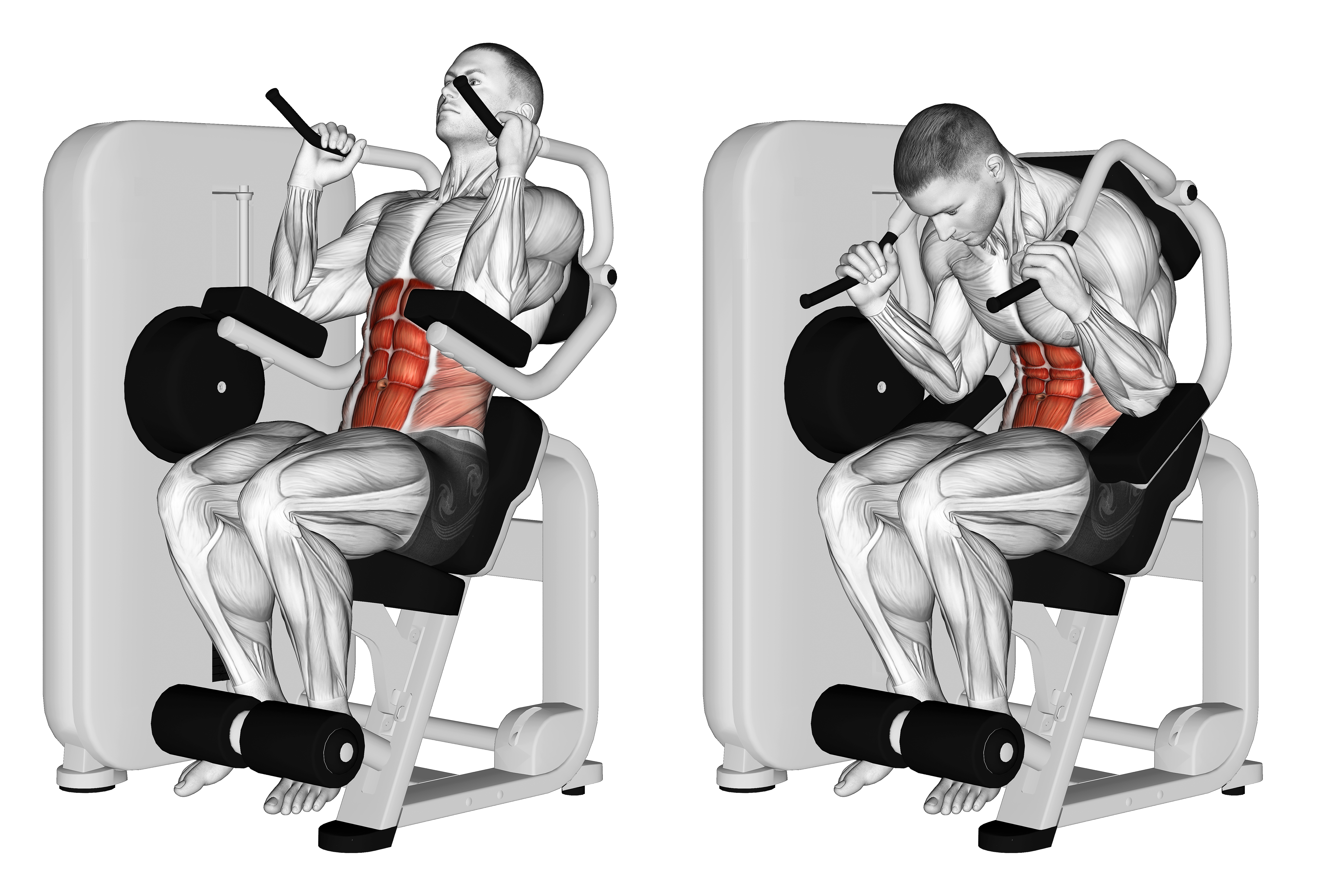 Lever Seated Crunch