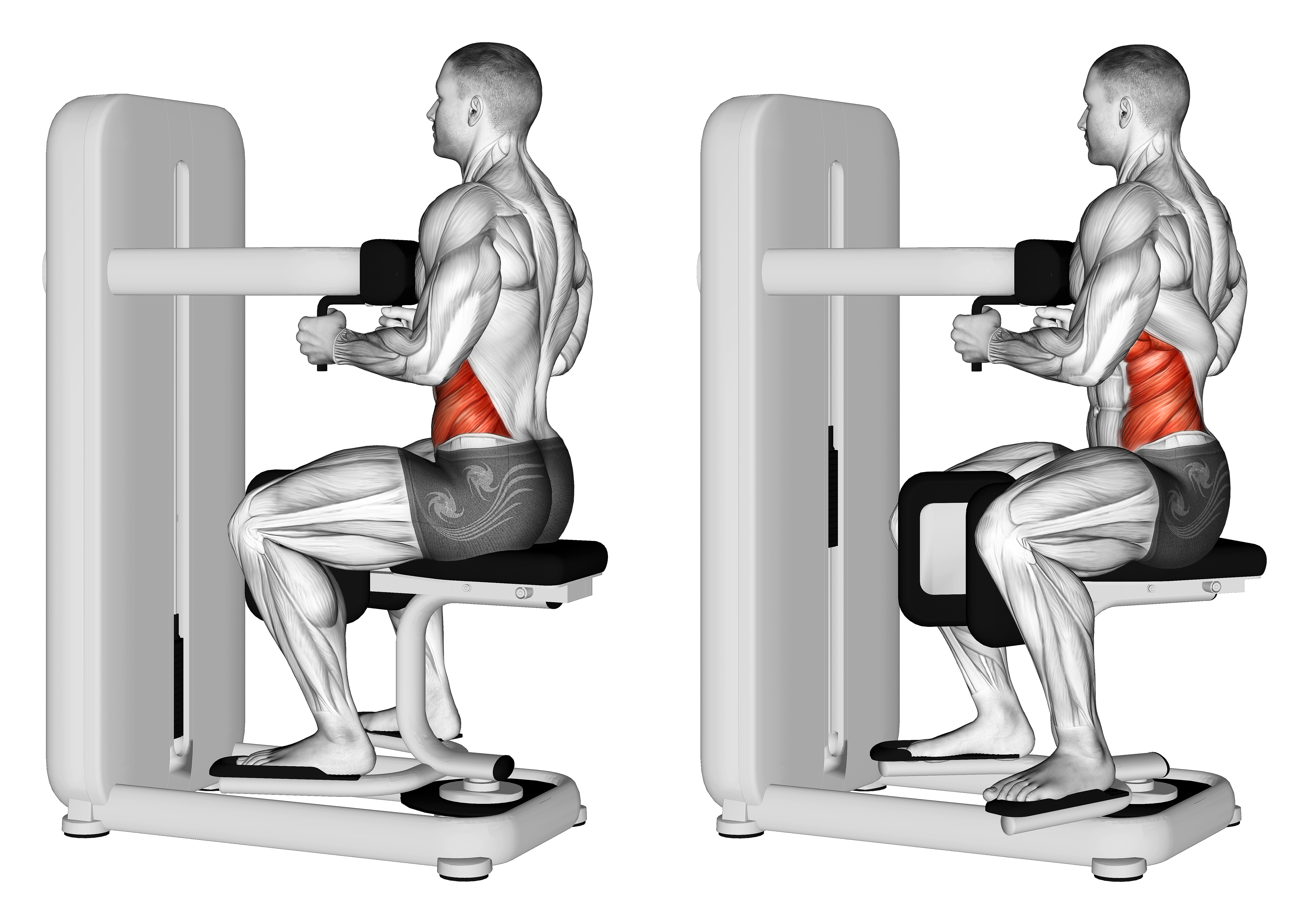 Lever Seated Twist
