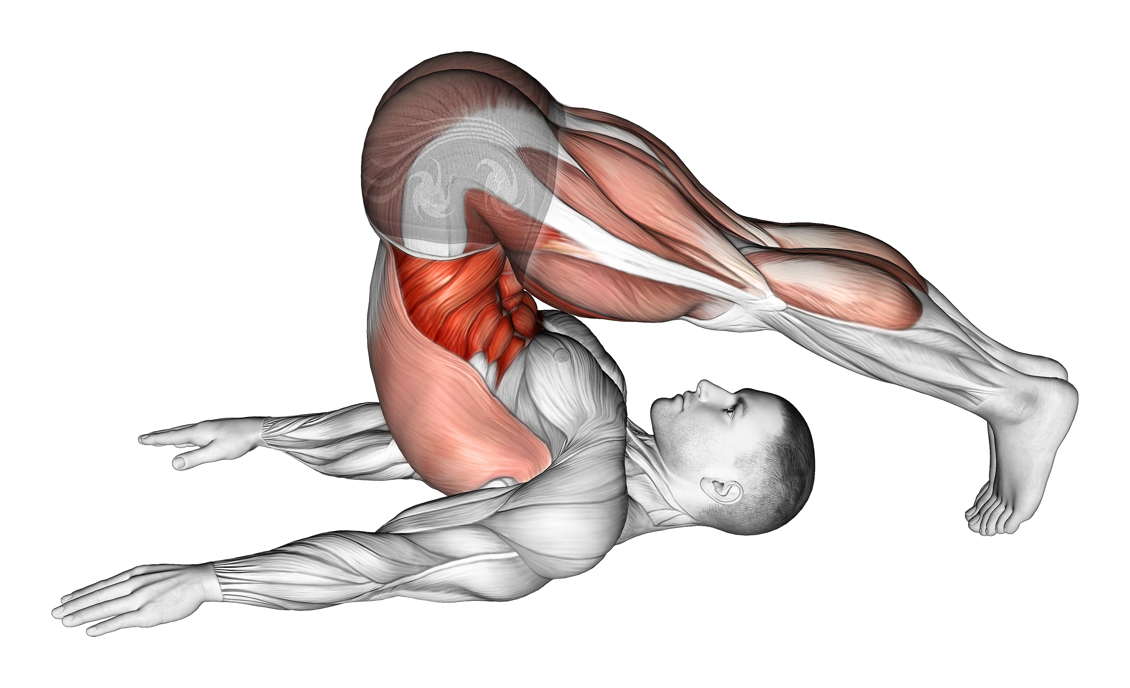 Plow Yoga Pose