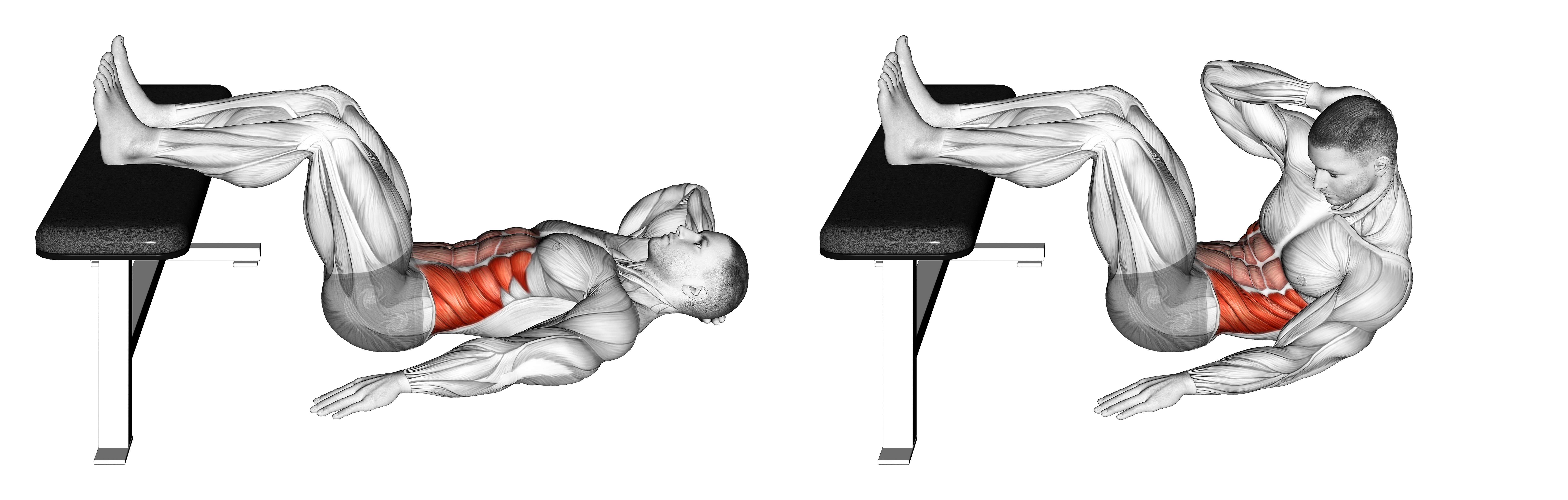 Oblique Crunch (version 2)
