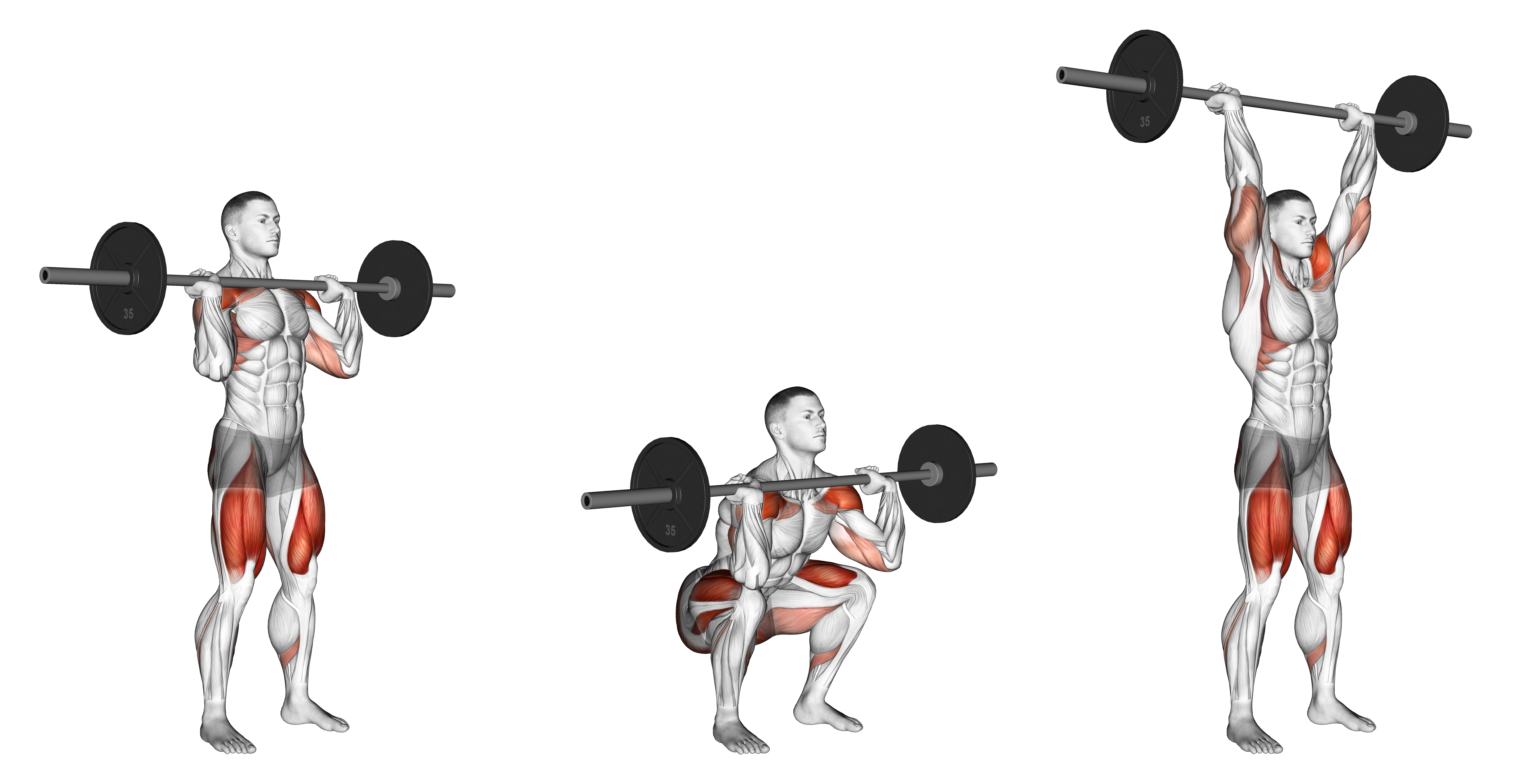 Barbell Squat To Shoulder Press Weightlifts Max