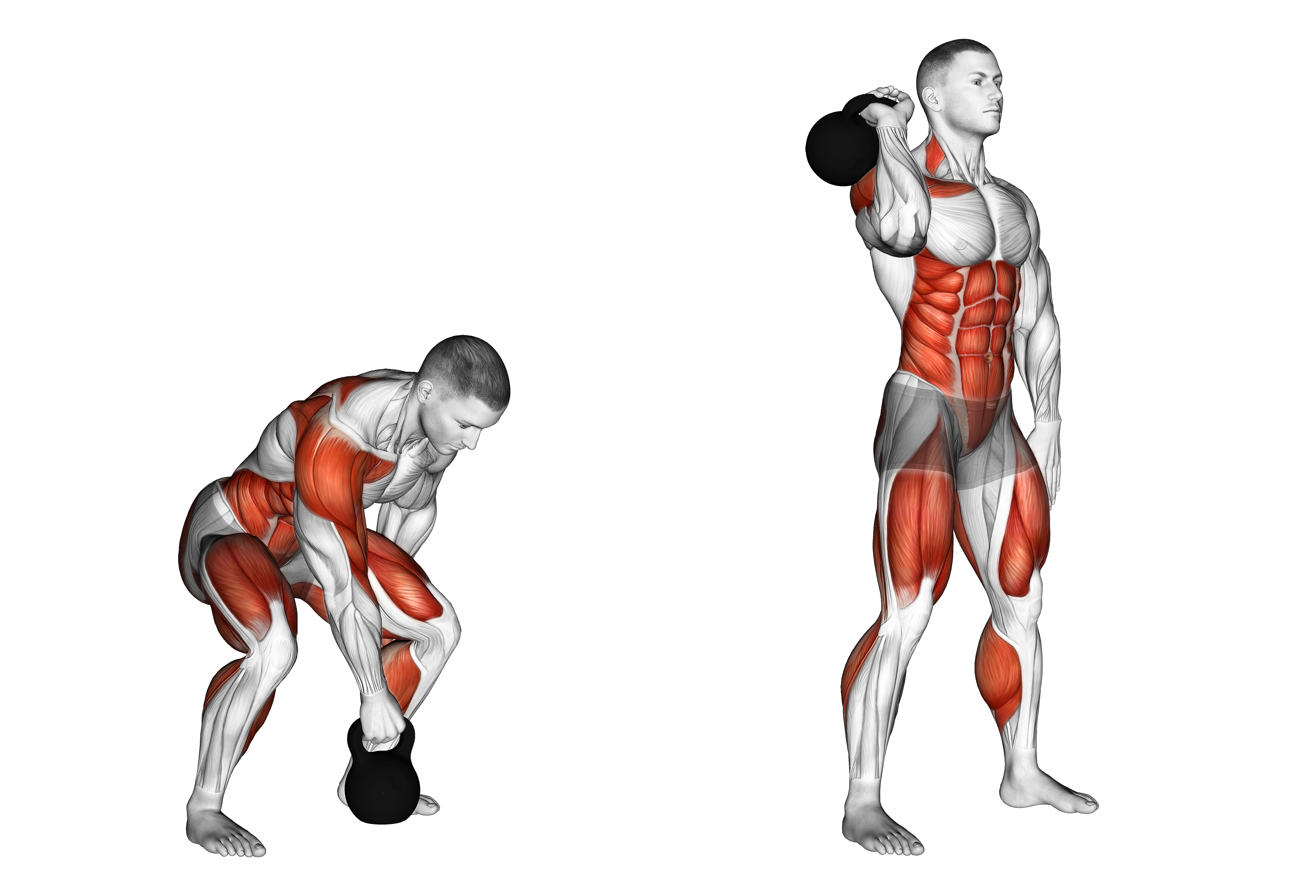 Kettlebell Dead Clean Weightlifts Max