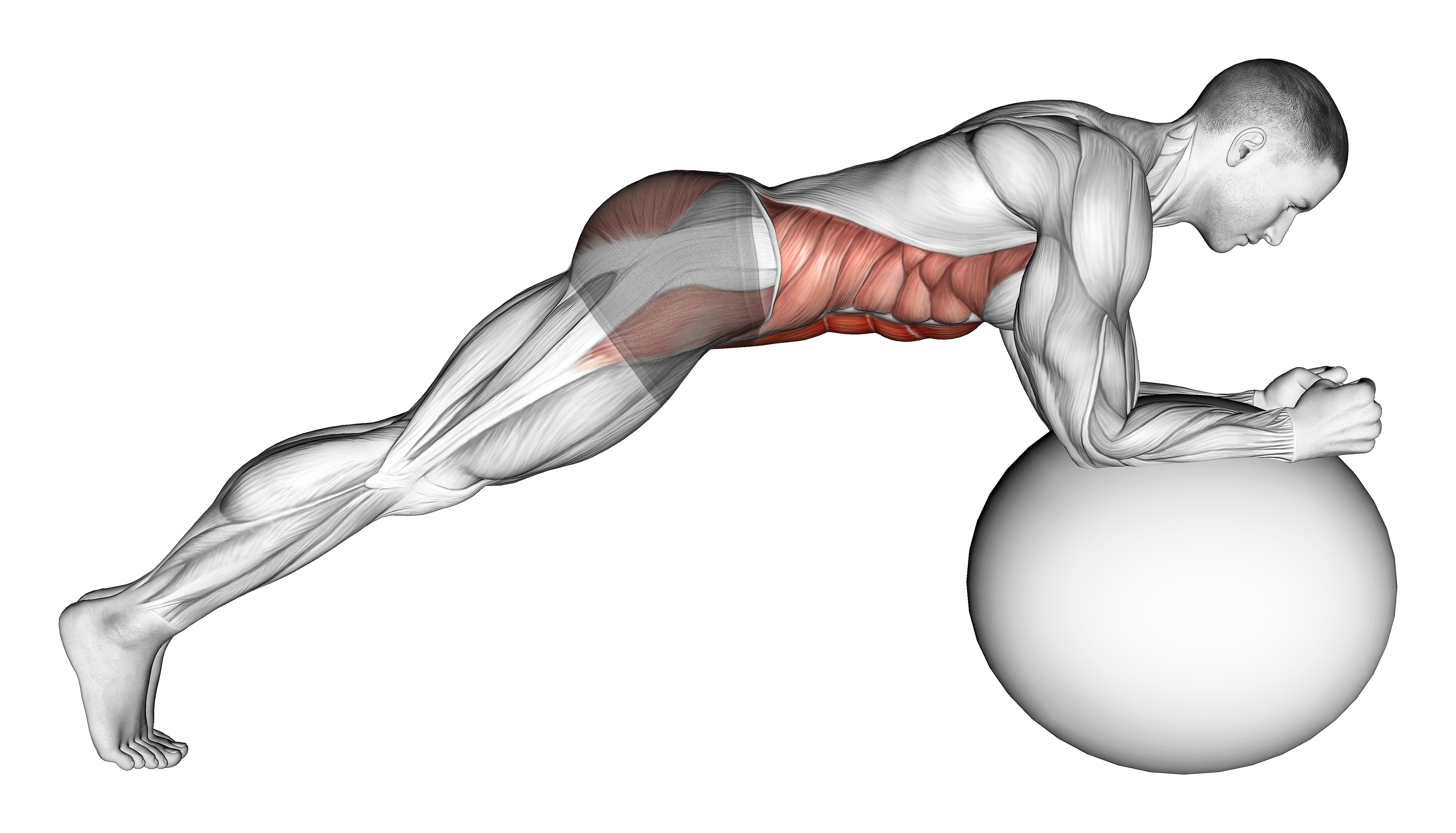 Stability Ball Front Plank