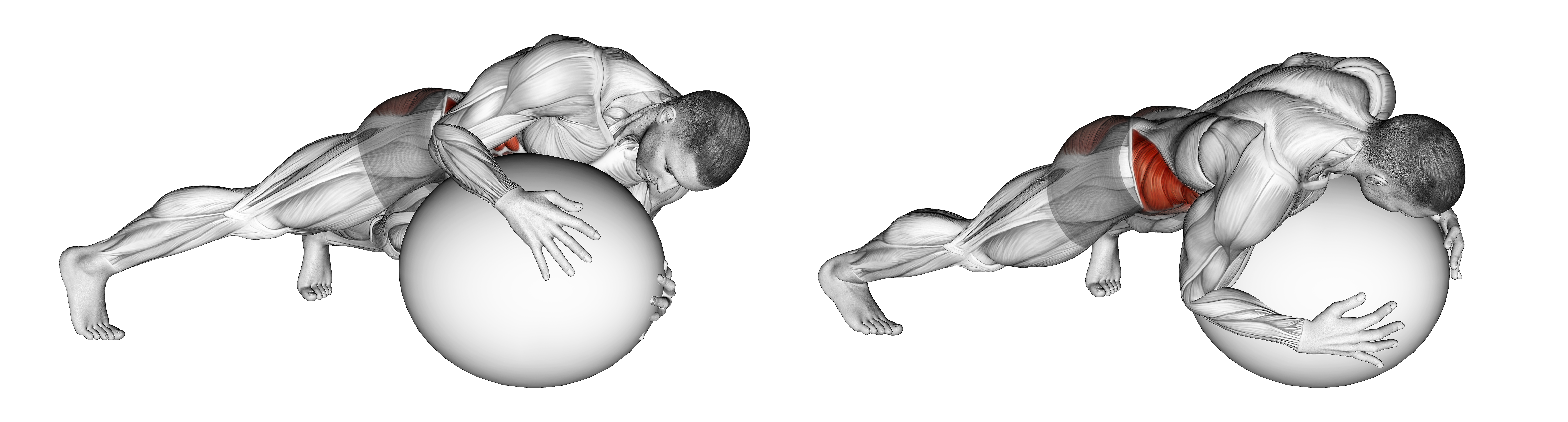 Prone Twist On Stability Ball