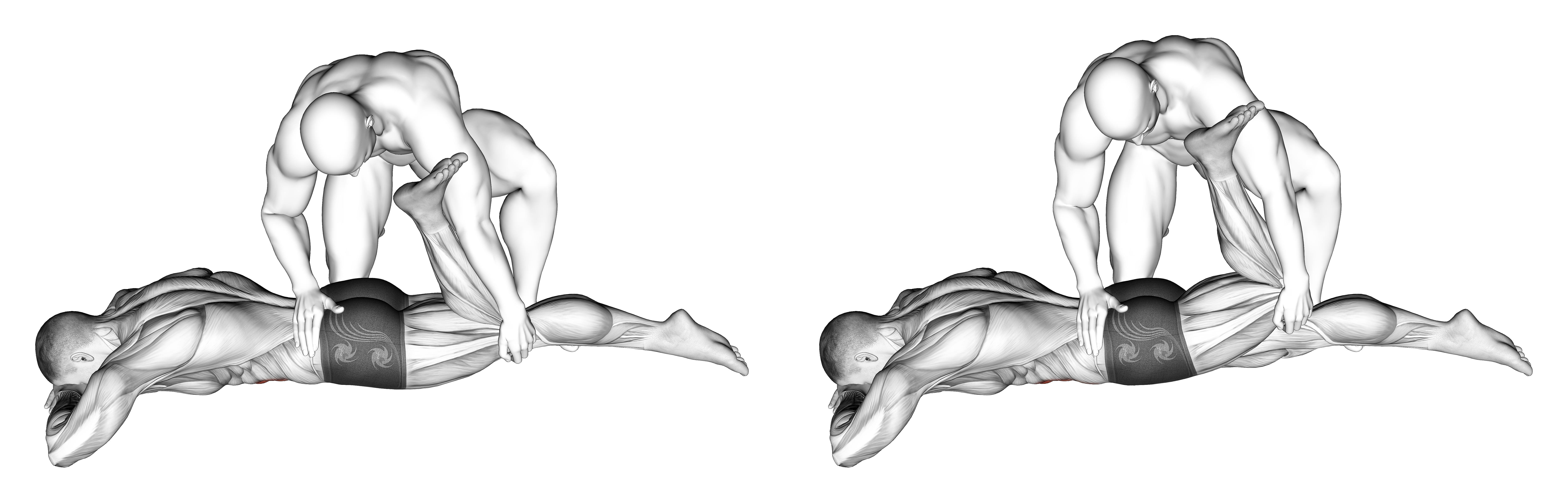 Assisted Prone Rectus Femoris Stretch