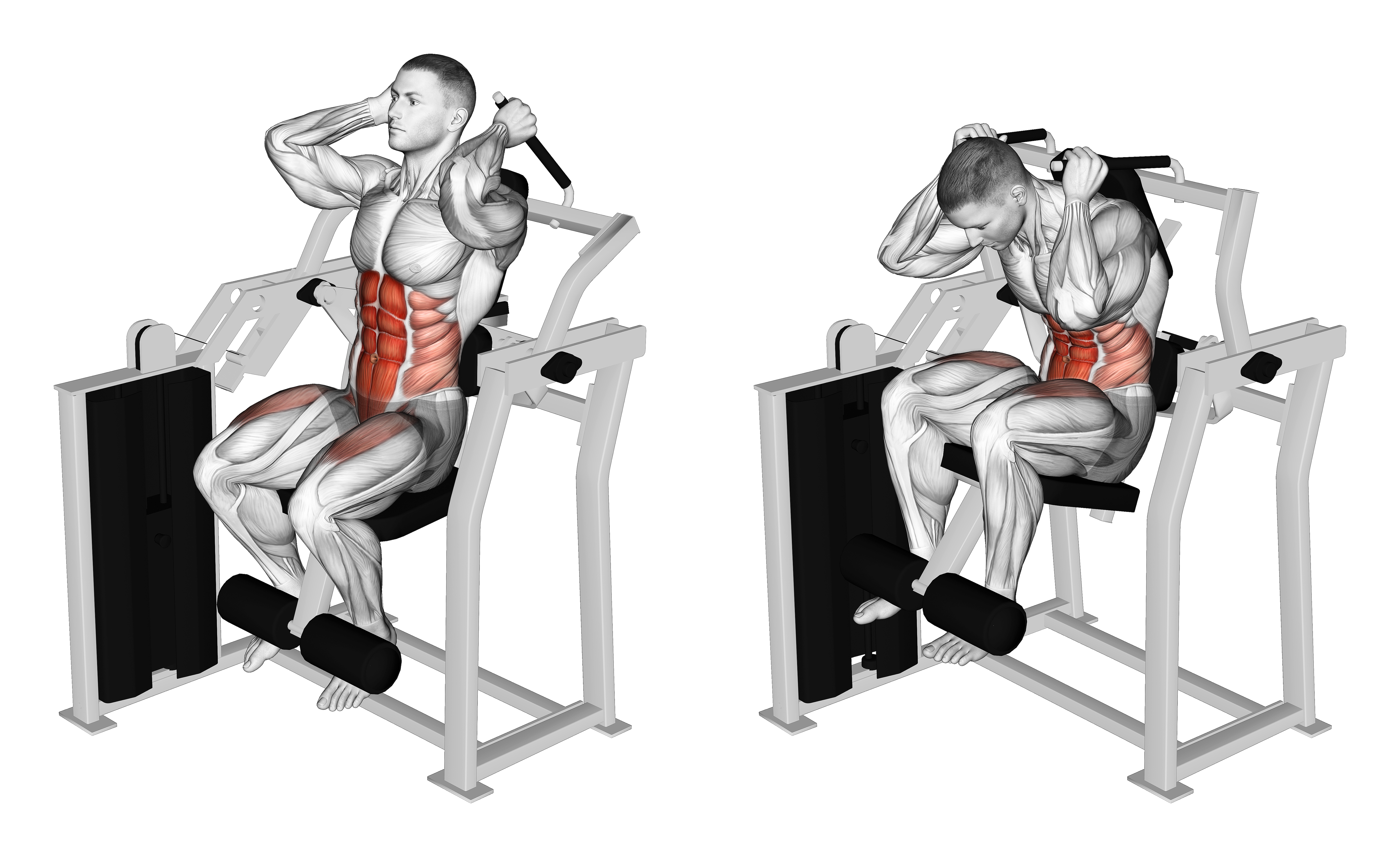 Lever Total Abdominal Crunch
