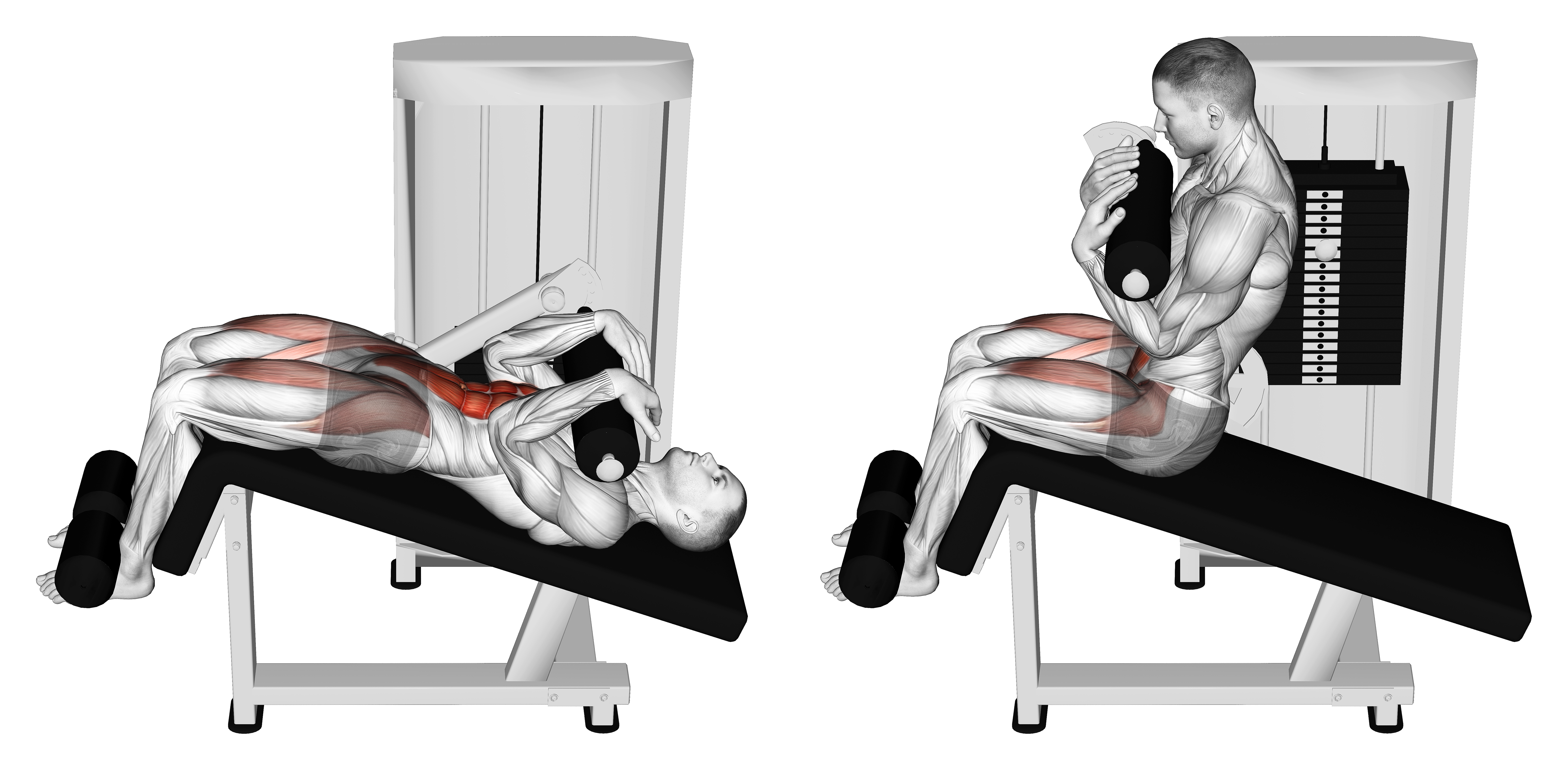Lever Decline Sit Up