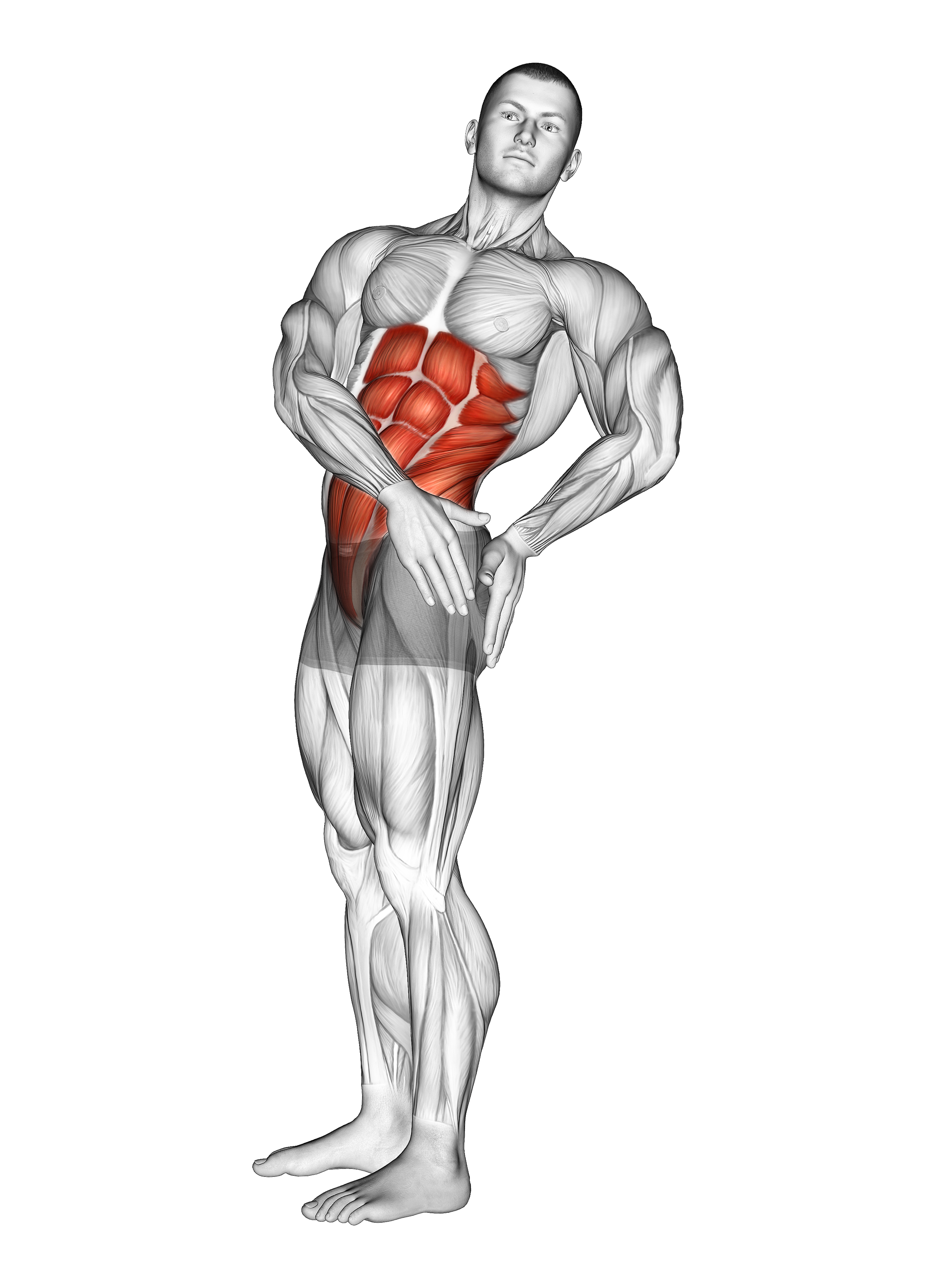 Standing Abs Rotation Stretch