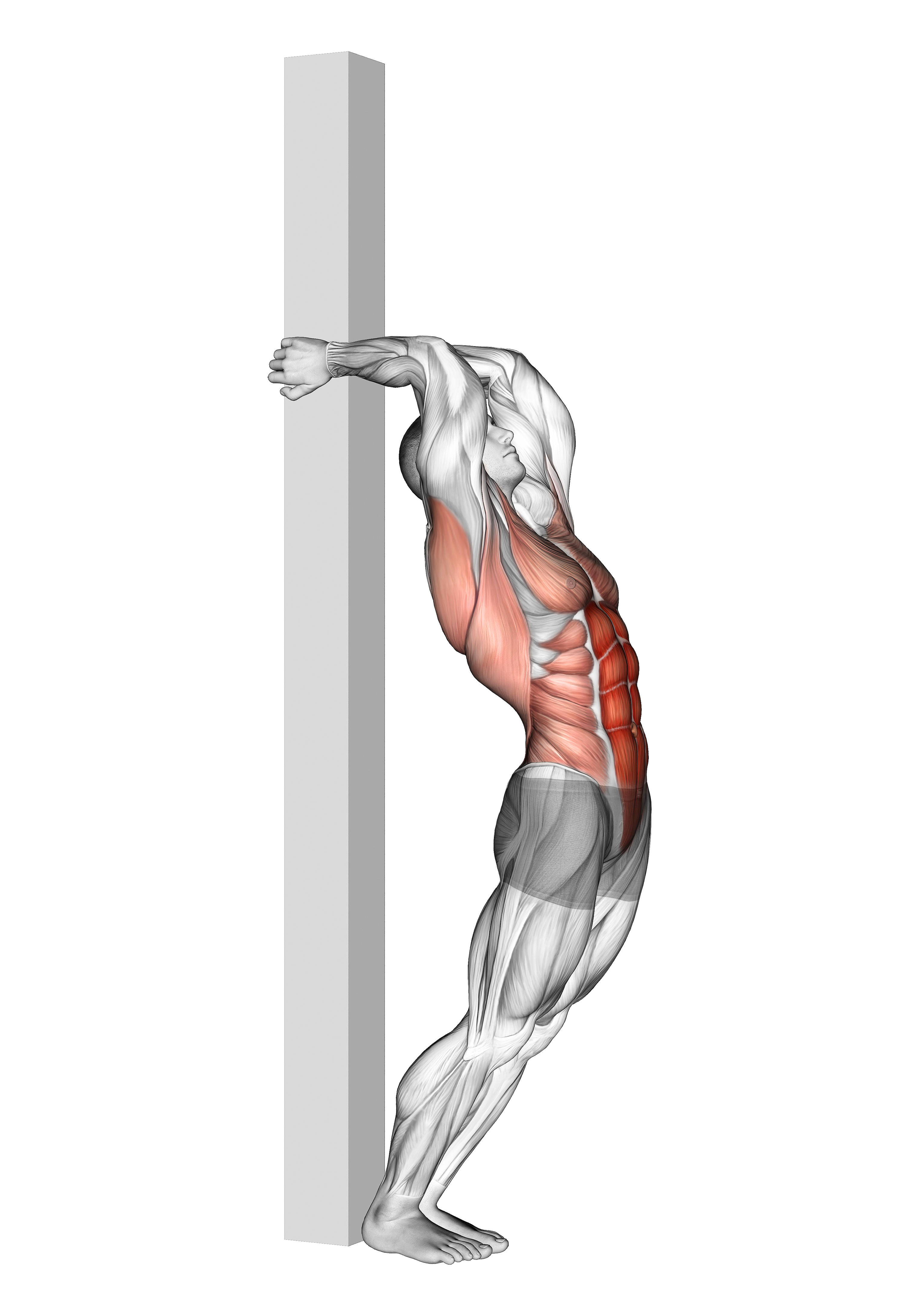 Hip Extension Supported From Back