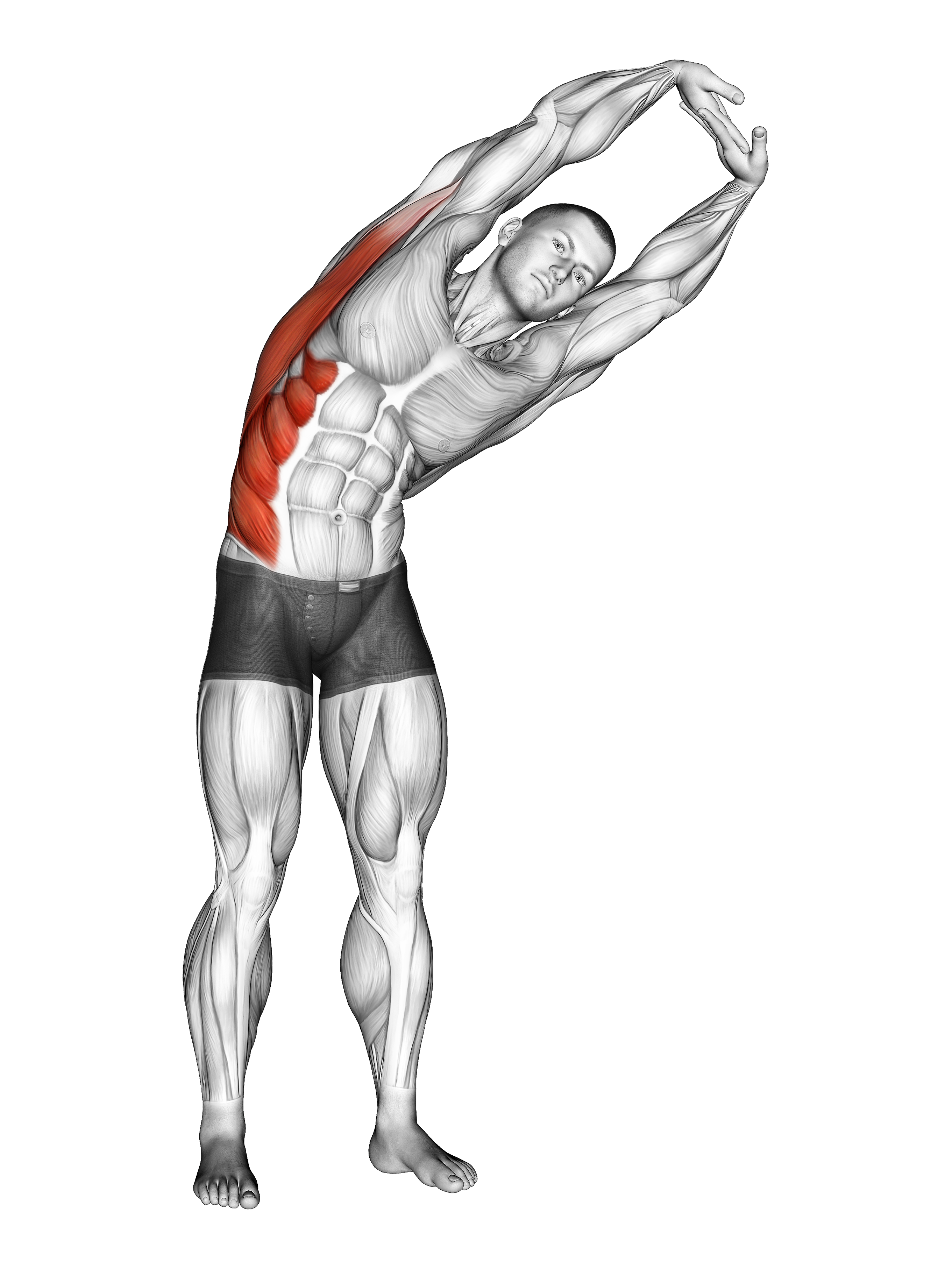 Standing Side Stretch