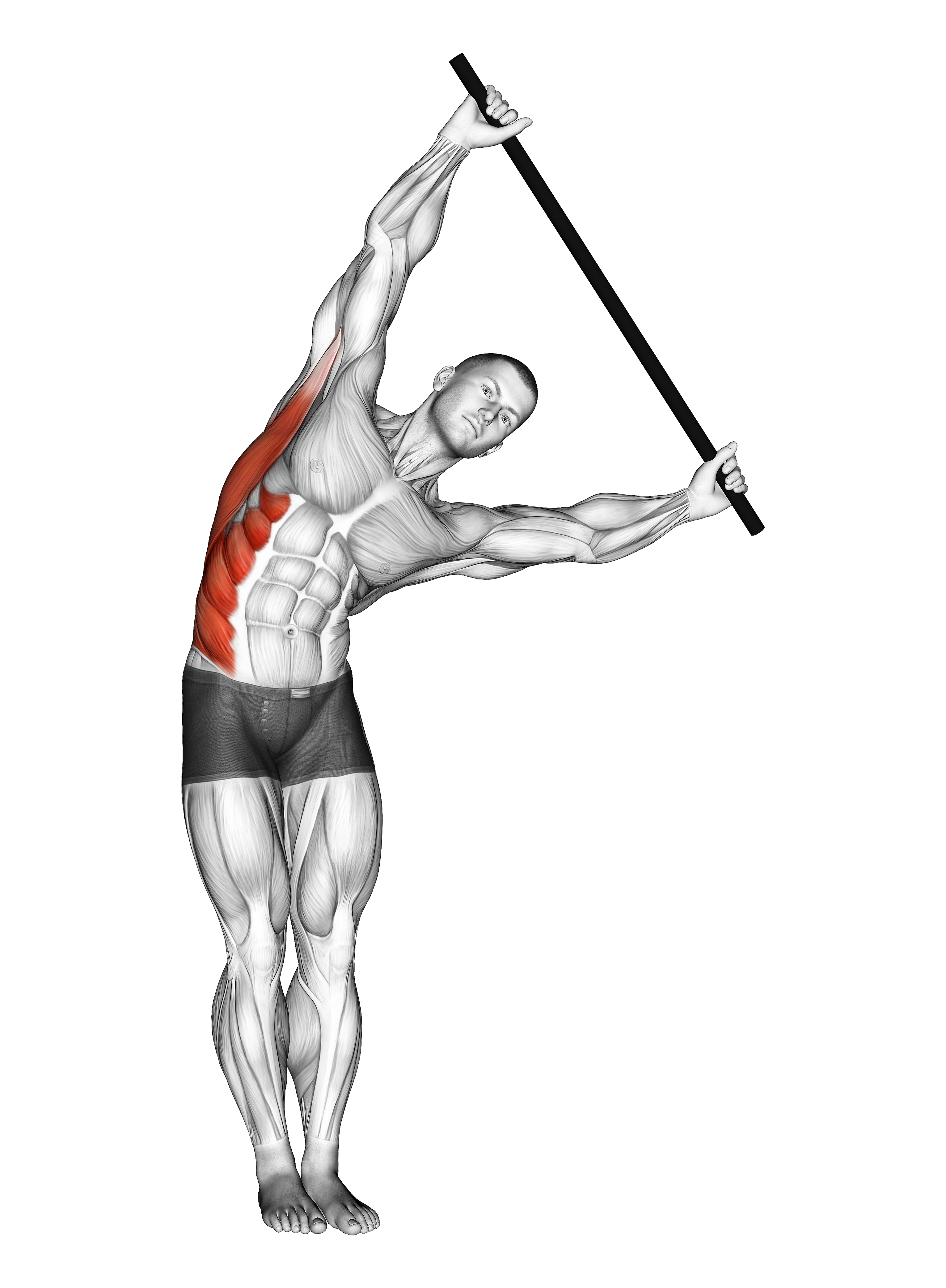 Standing Side Stretch With Stick