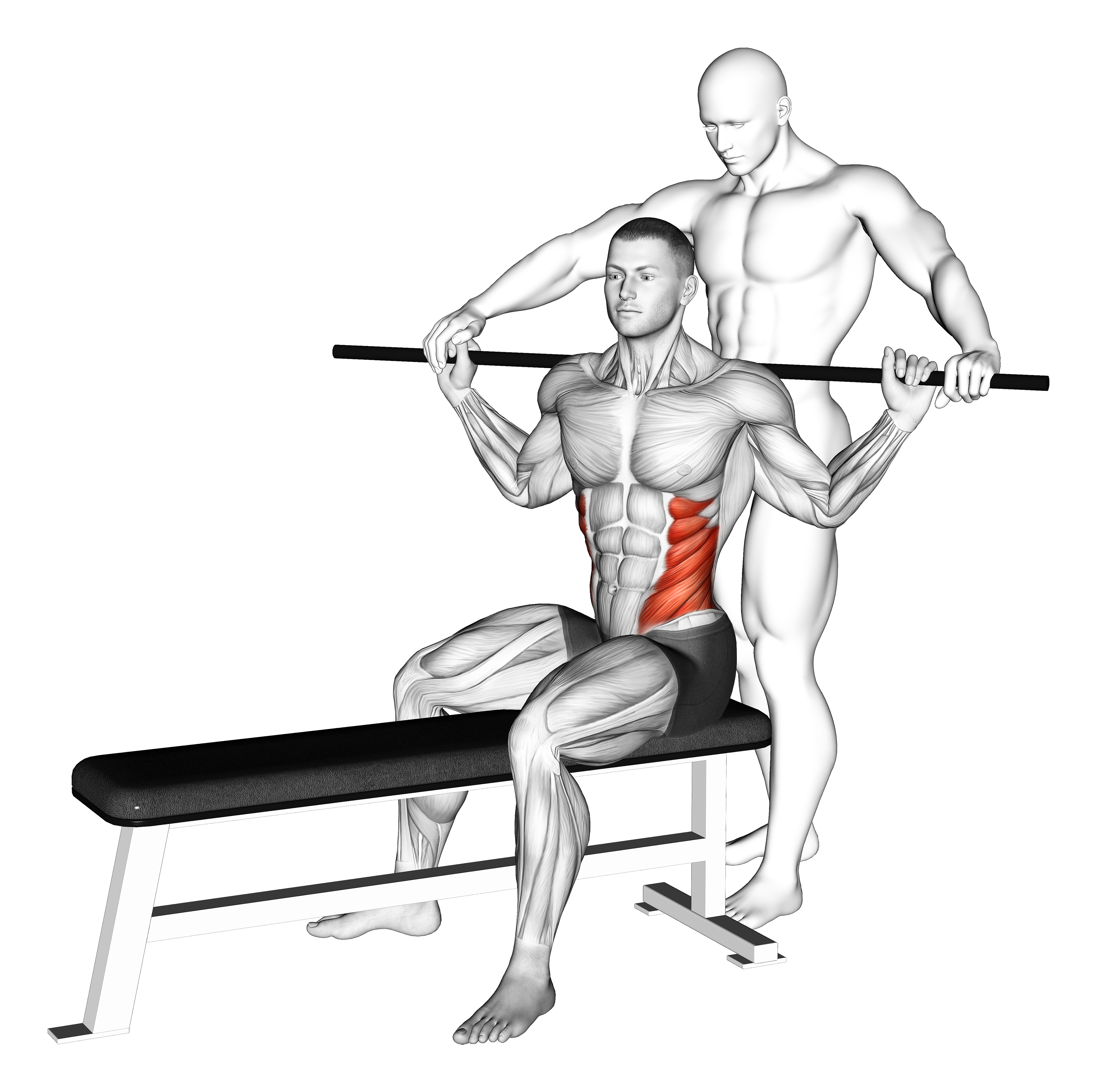 Assisted Obliques Stretch