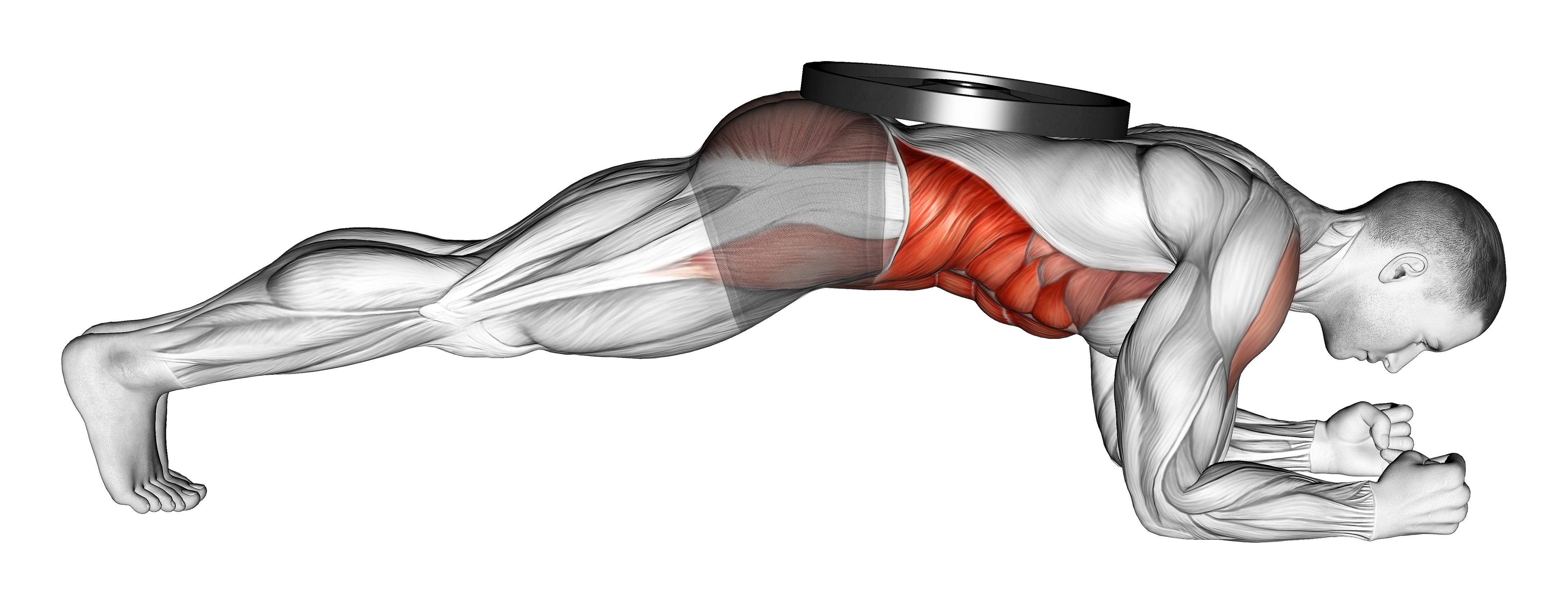 Weighted Front Plank