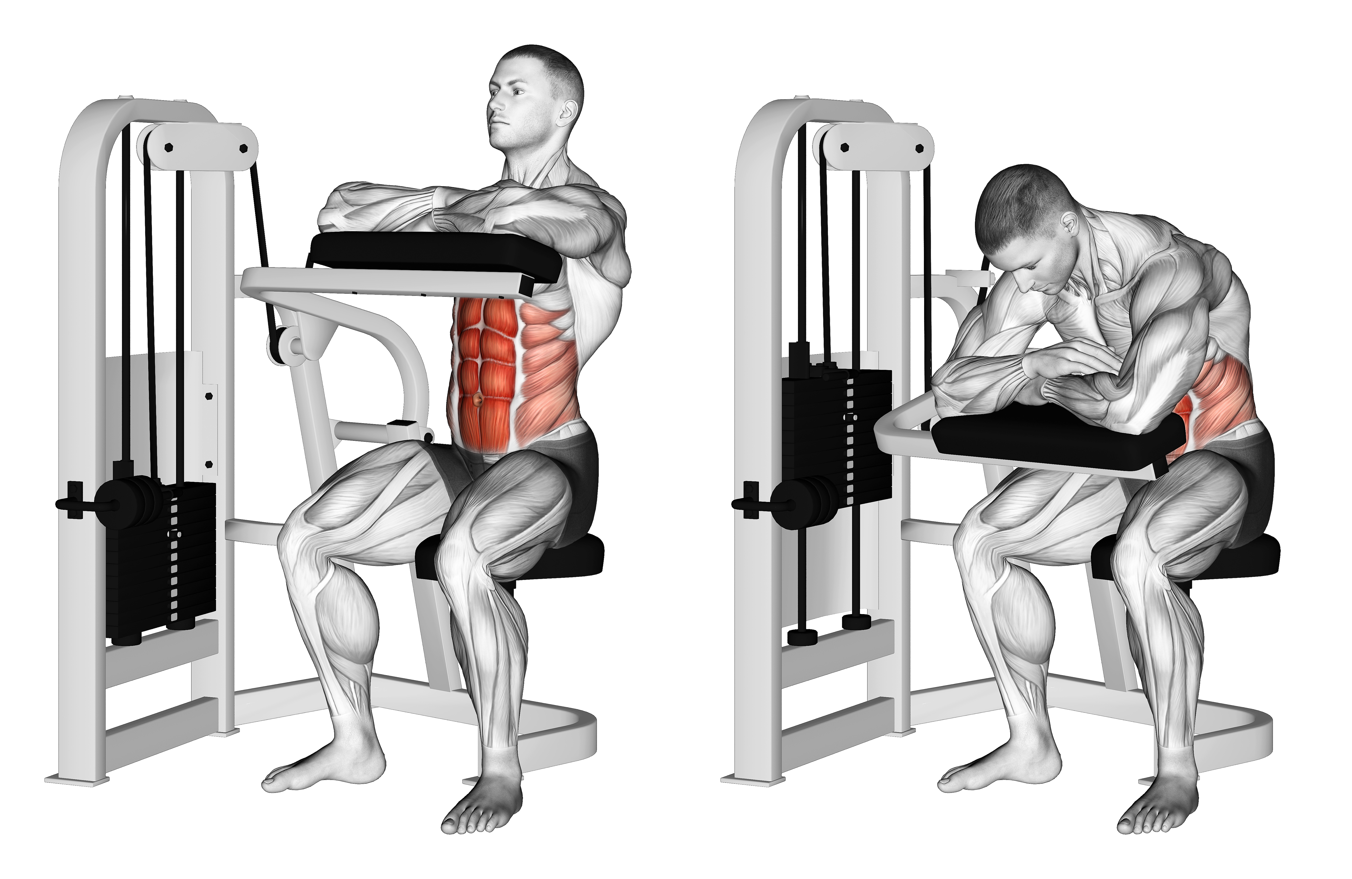 Lever Seated Crunch (hands Pad)