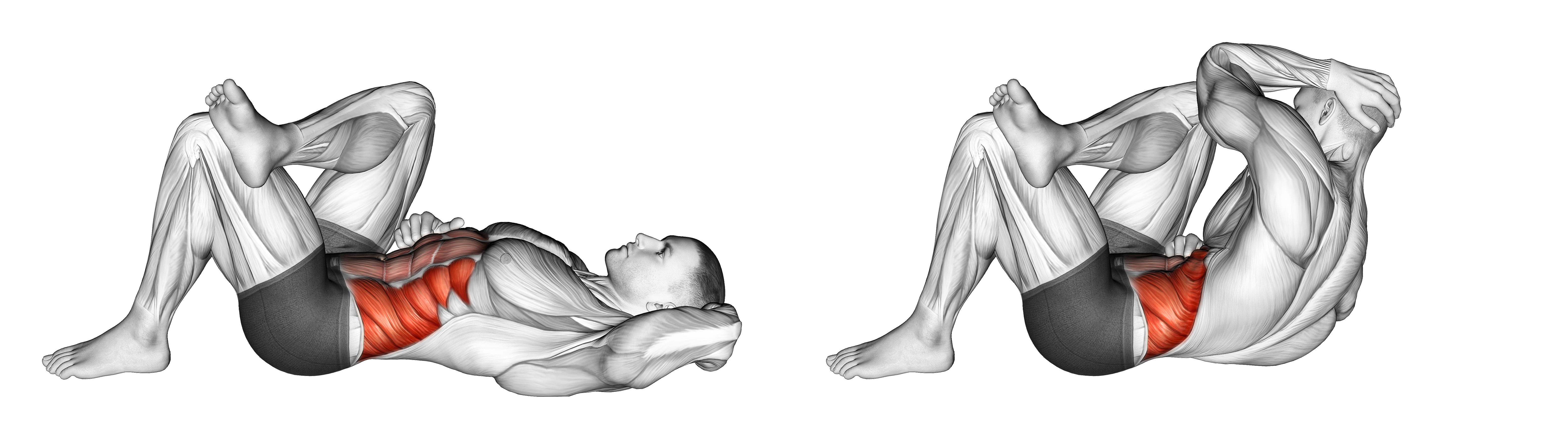Lying Elbow To Knee
