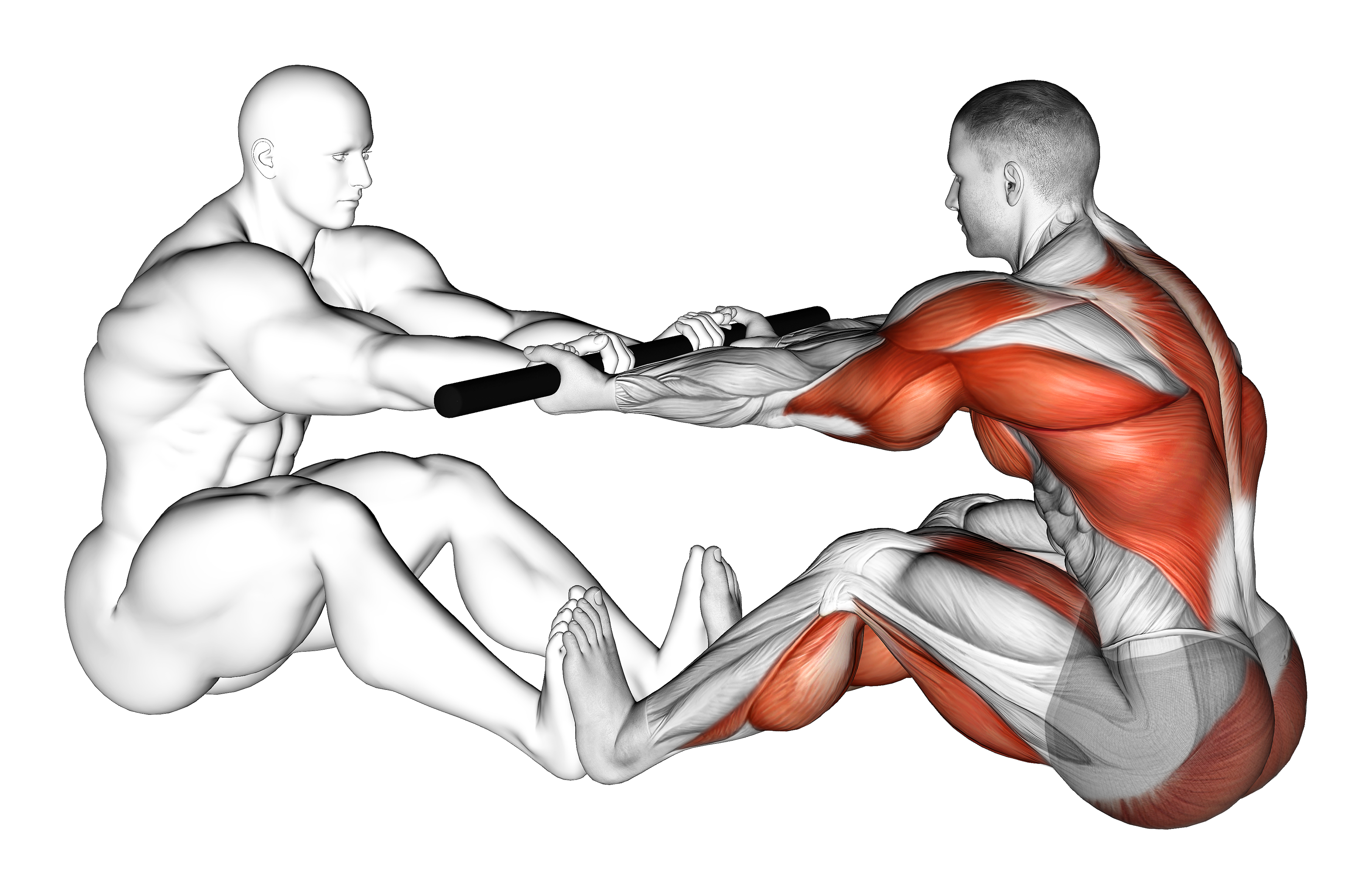 Strongman Mas Wrestling Weightlifting Max
