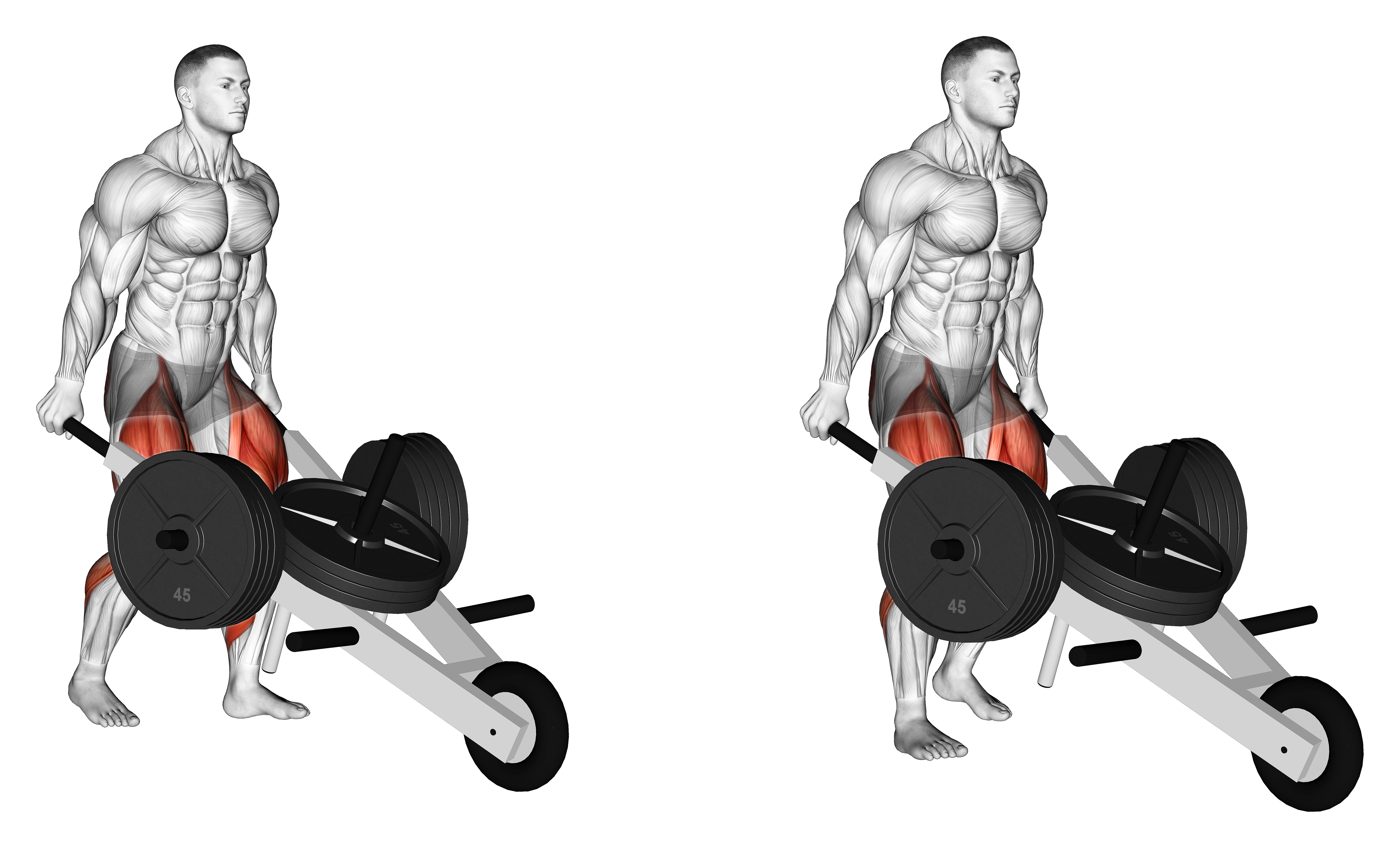 Strongman Wheelbarrow Weightlifting Max