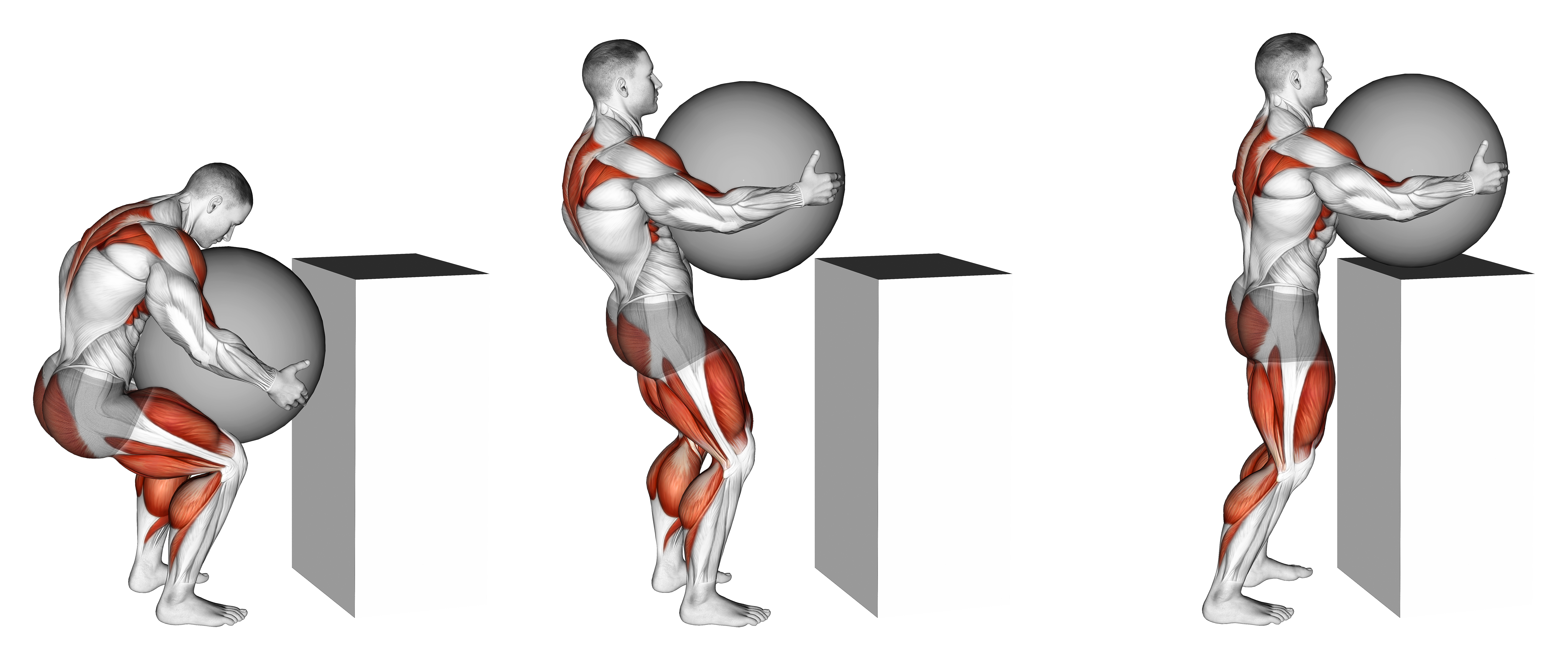 Strongman Atlas Stones Weightlifting Max