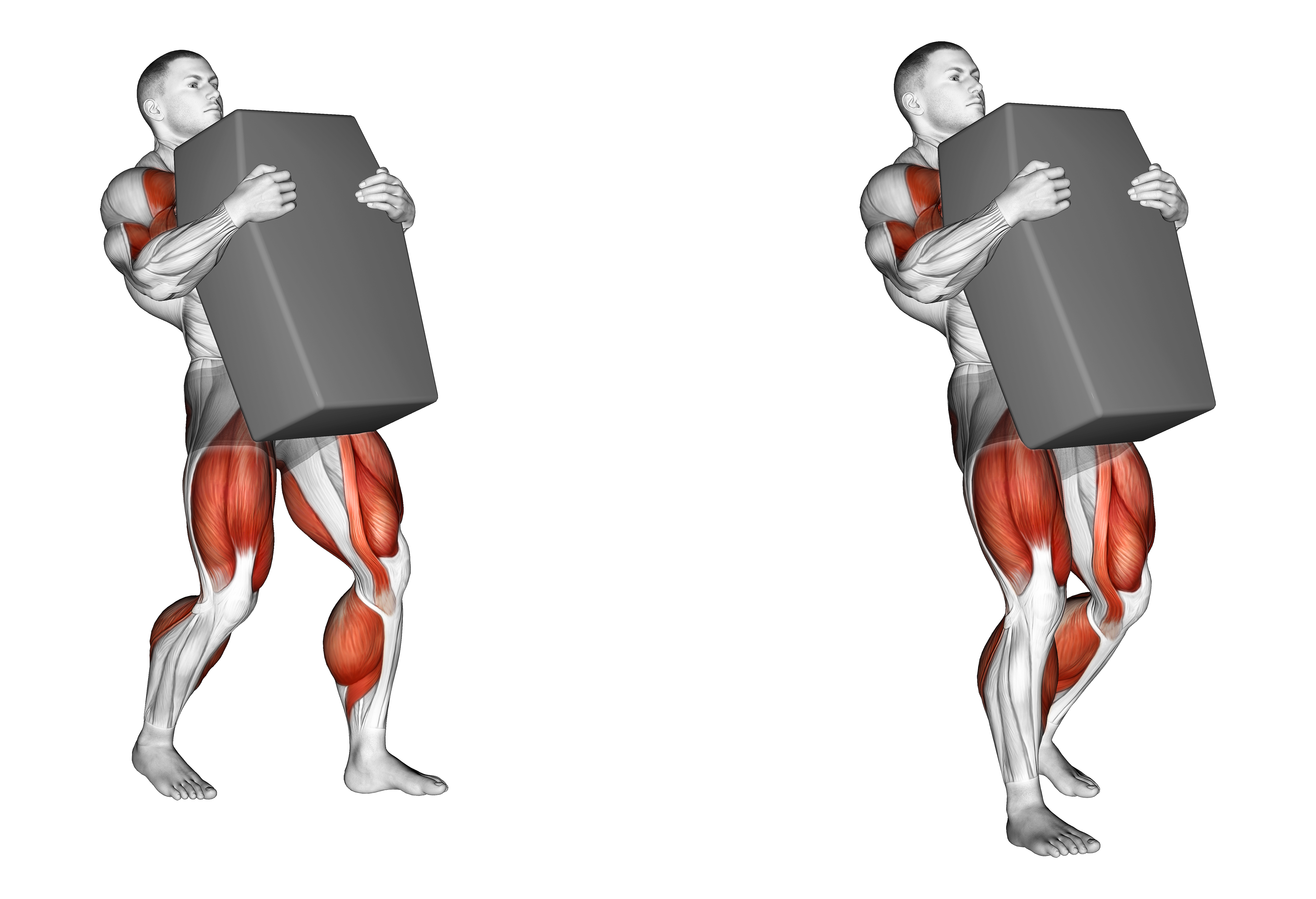 Strongman Shield Carry Weightlifting Max