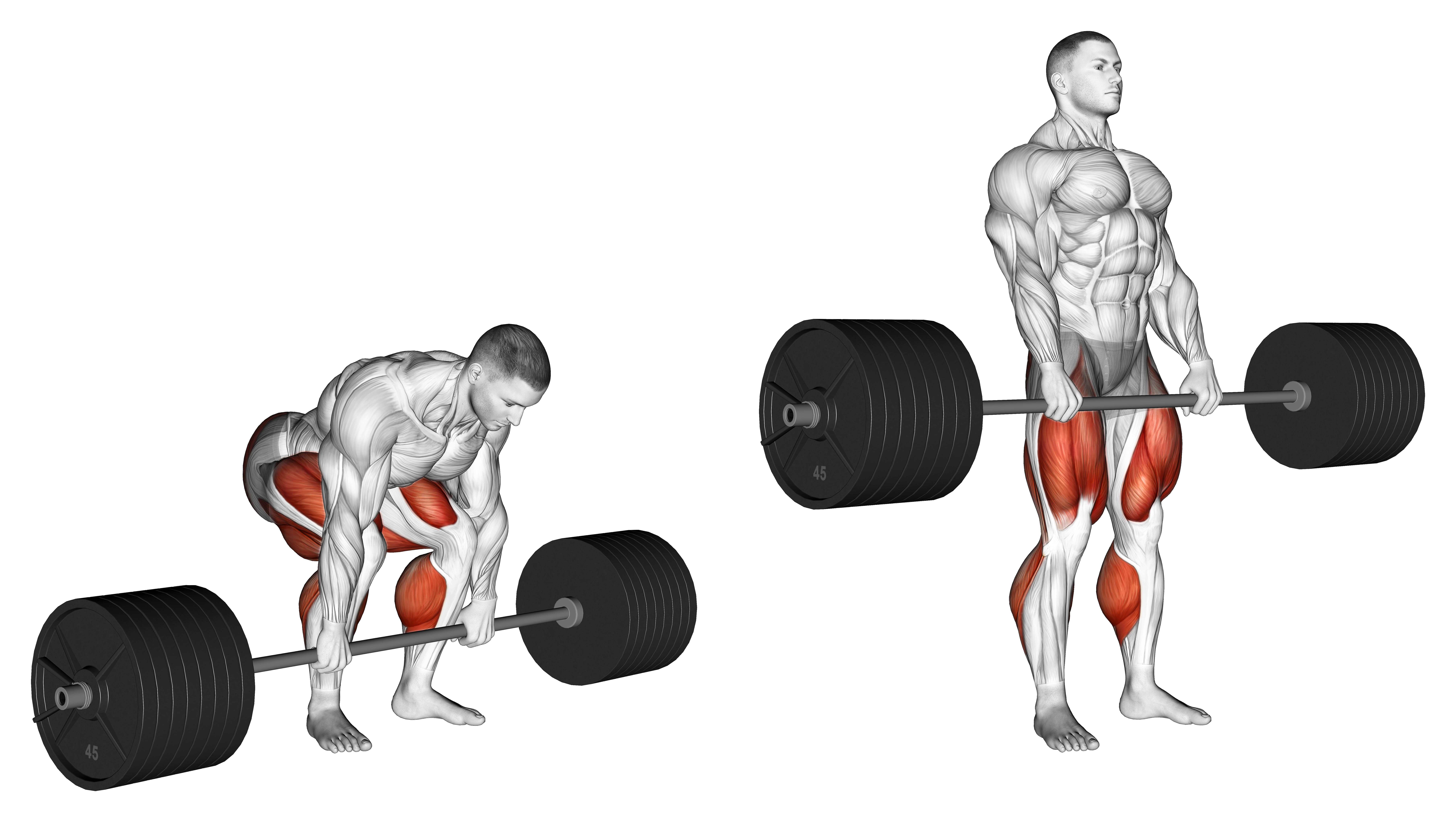 Strongman Deadlift Weightlifting Max