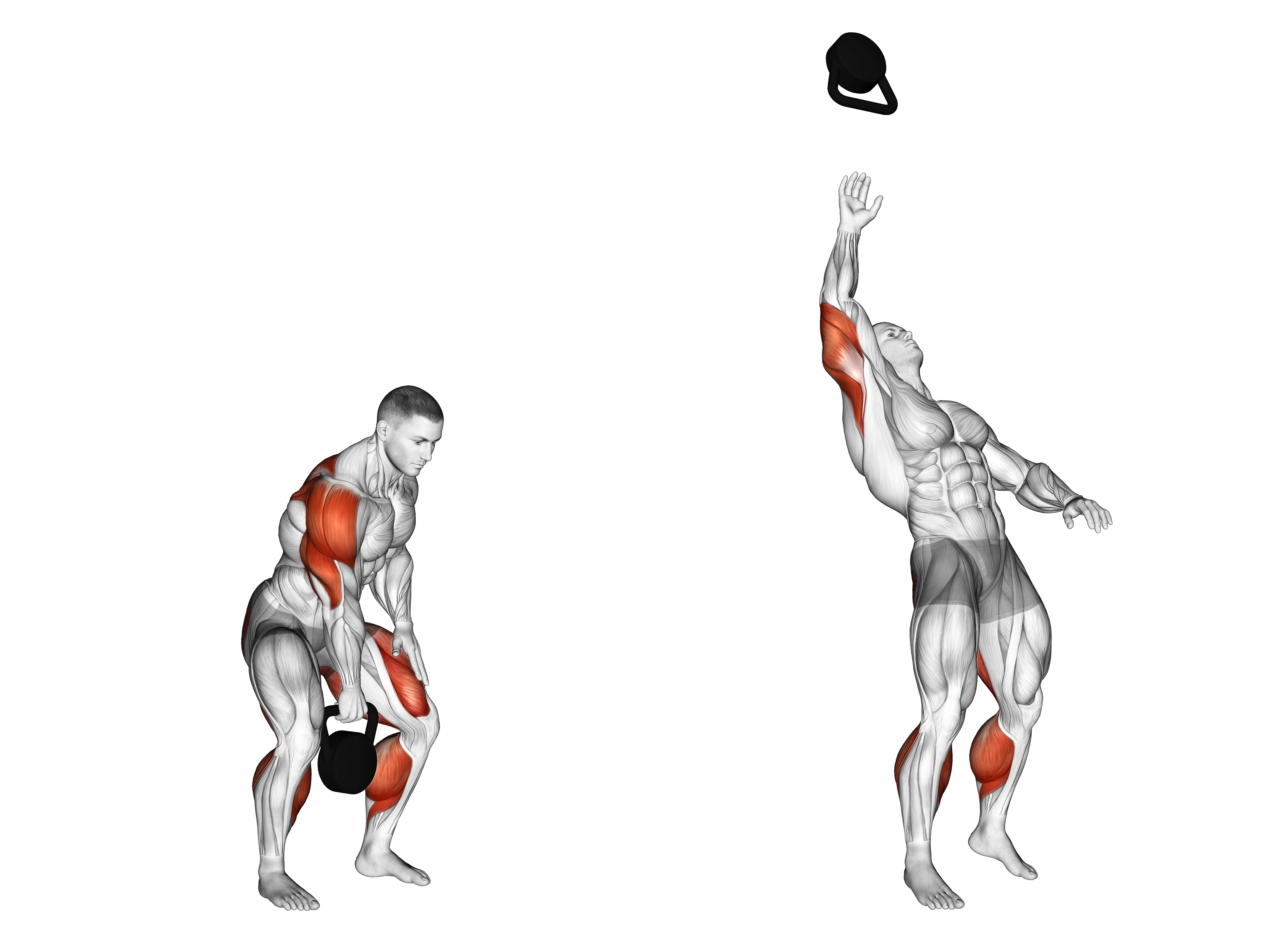 Strongman Weight For Height Weightlifting Max