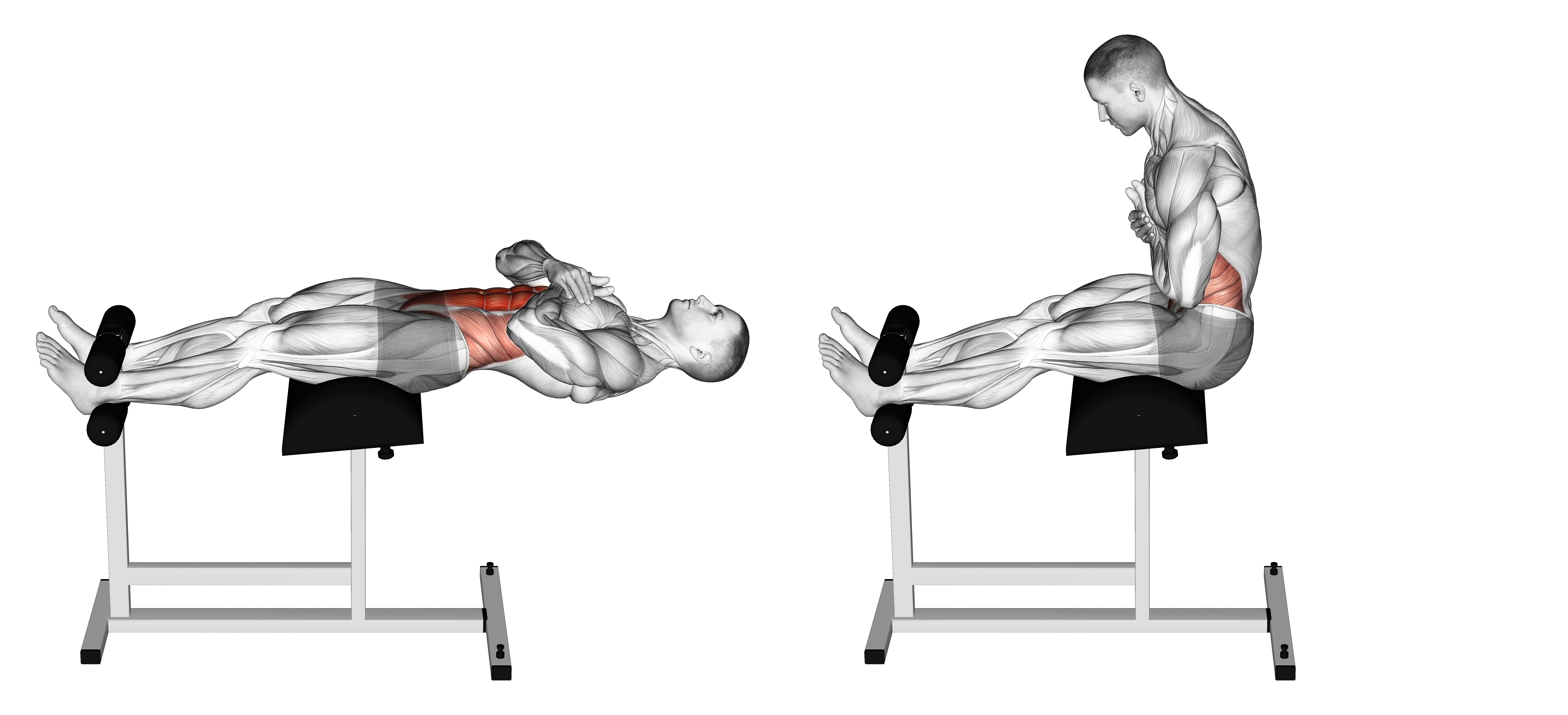 Roman Chair Sit Up