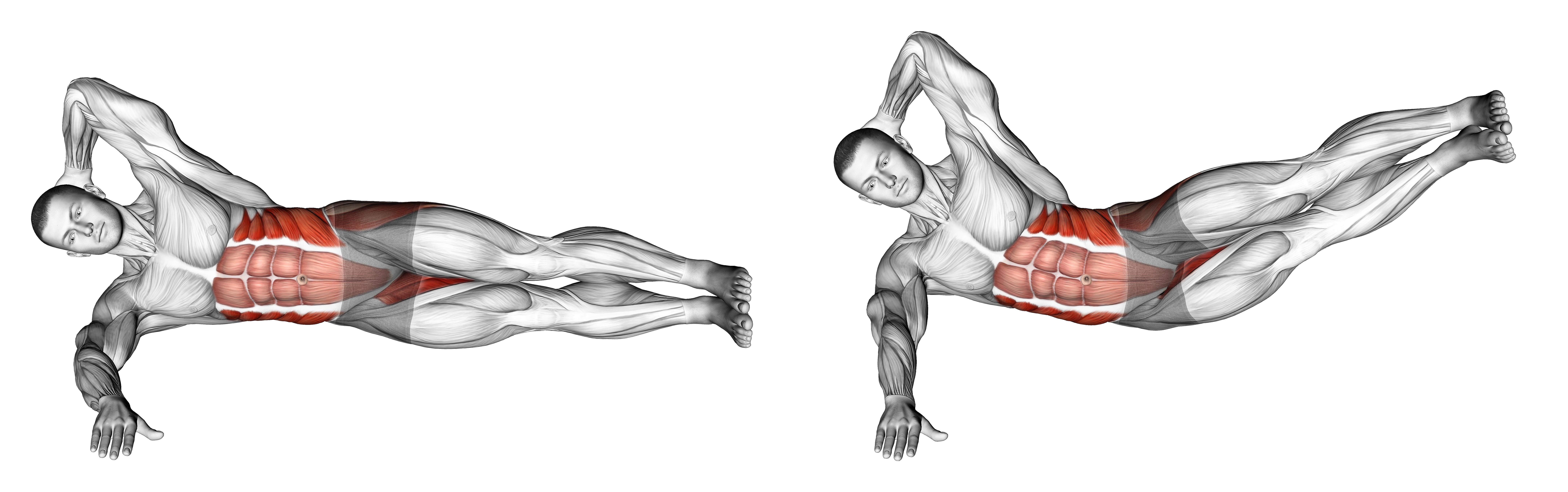 Oblique Crunches With Straight Leg Lift Waist Max