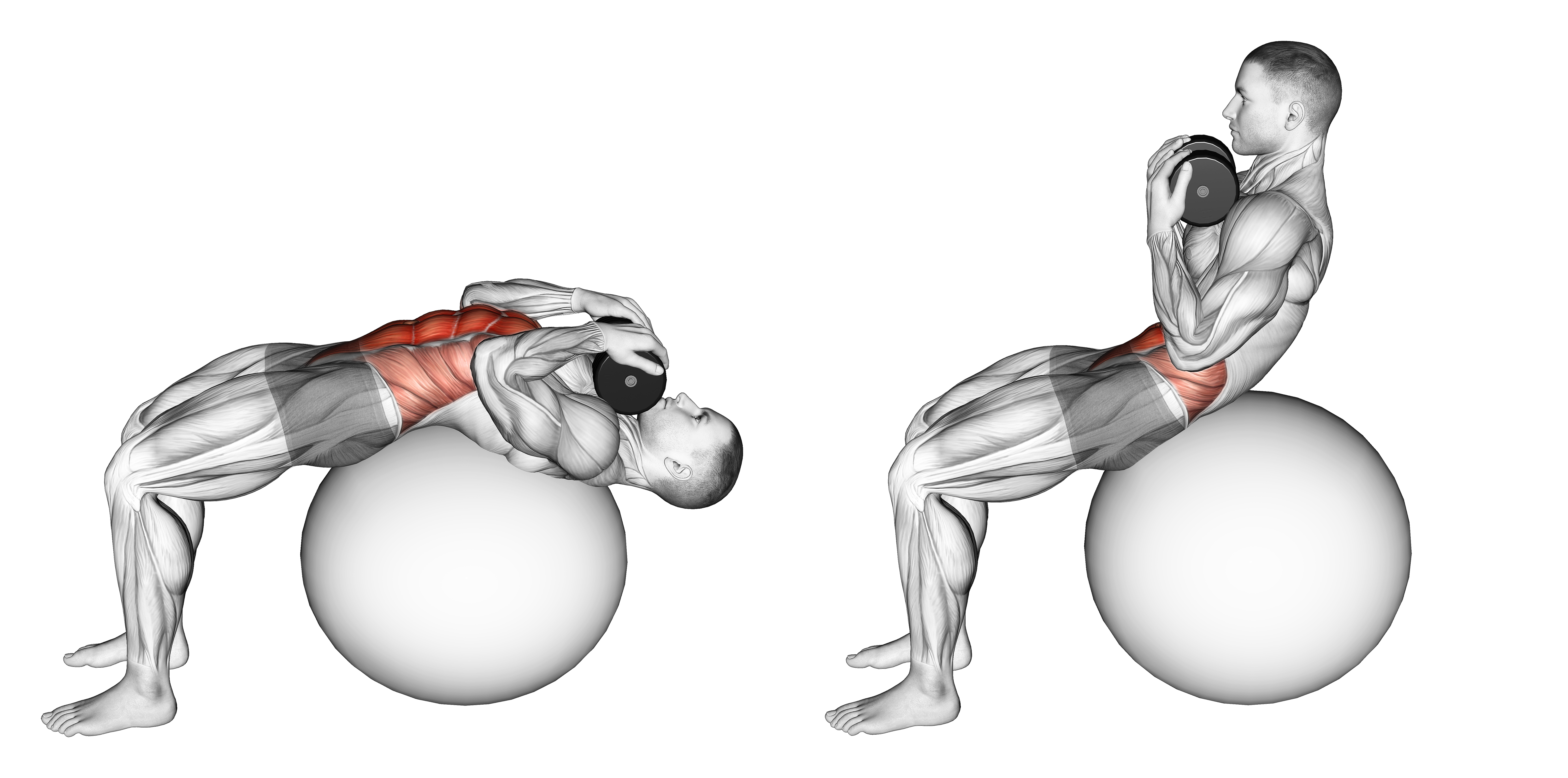 Weighted Stability Ball Crunch (full Range)