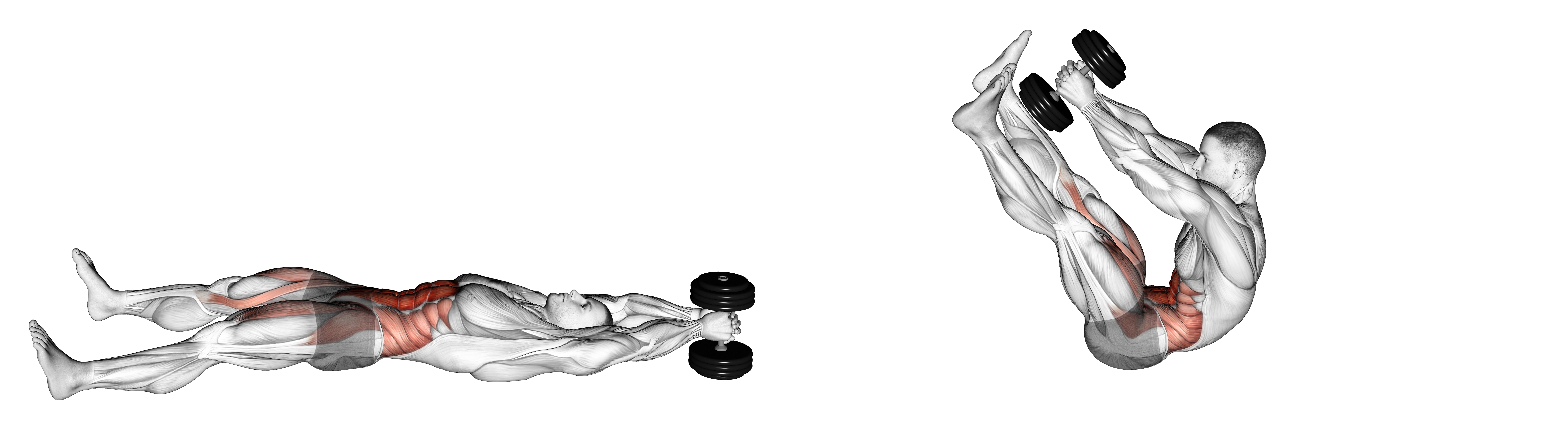 Dumbbell V Up