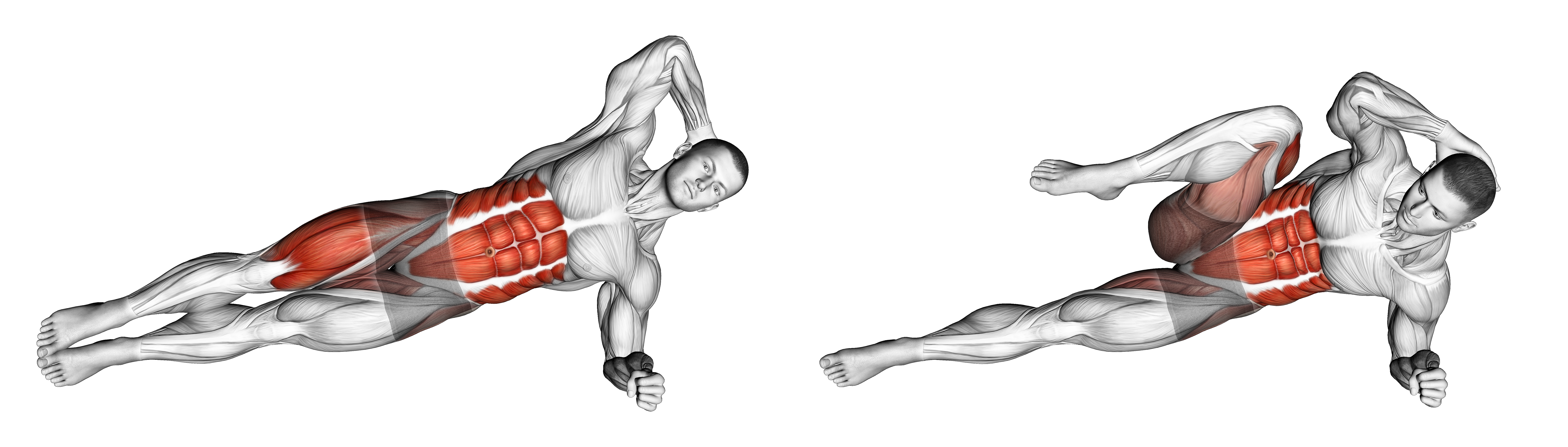 Elbow To Knee Side Plank Crunch Wiast Max