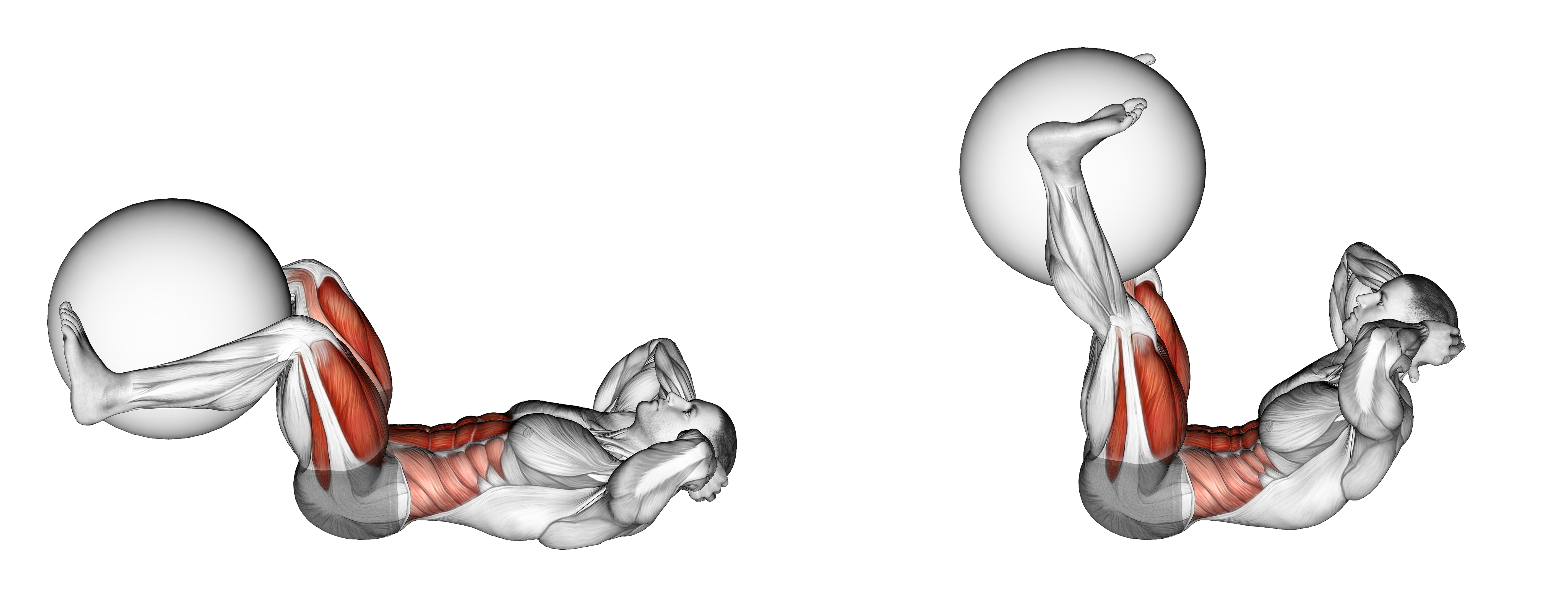 Leg Extension Crunch (with Stability Ball)