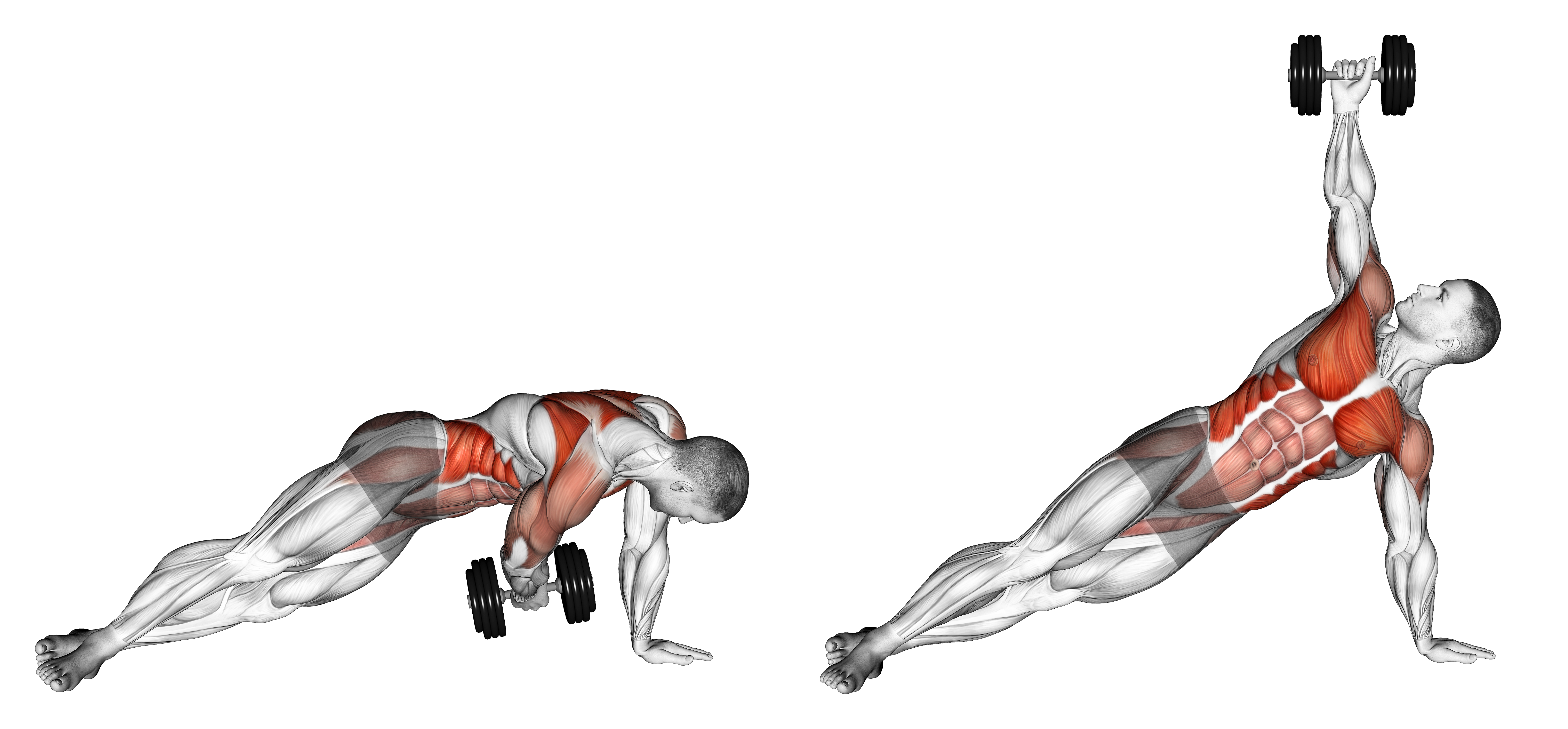 Dumbbell Side Plank With Rear Fly