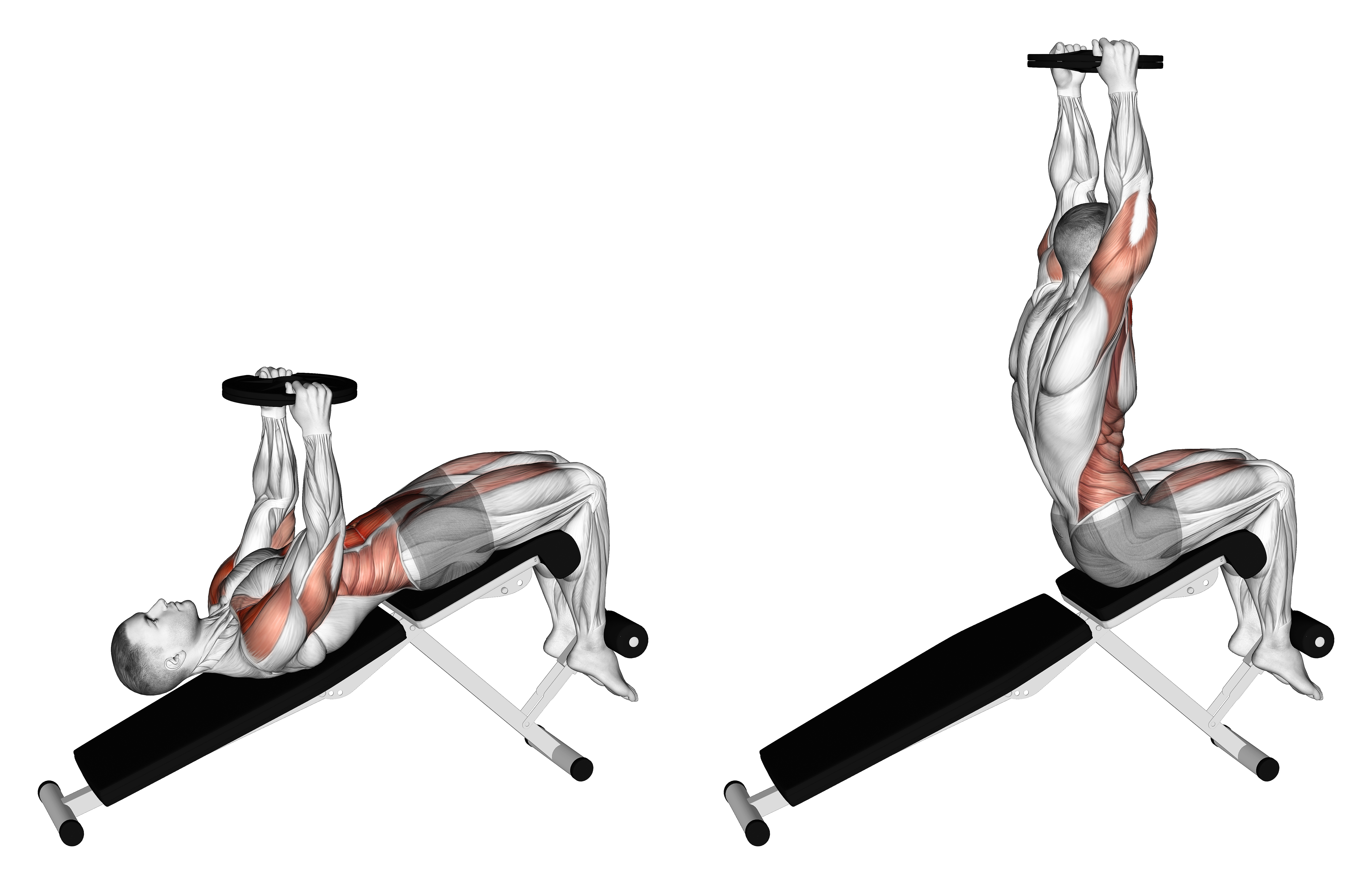 Weighted Decline Sit Up