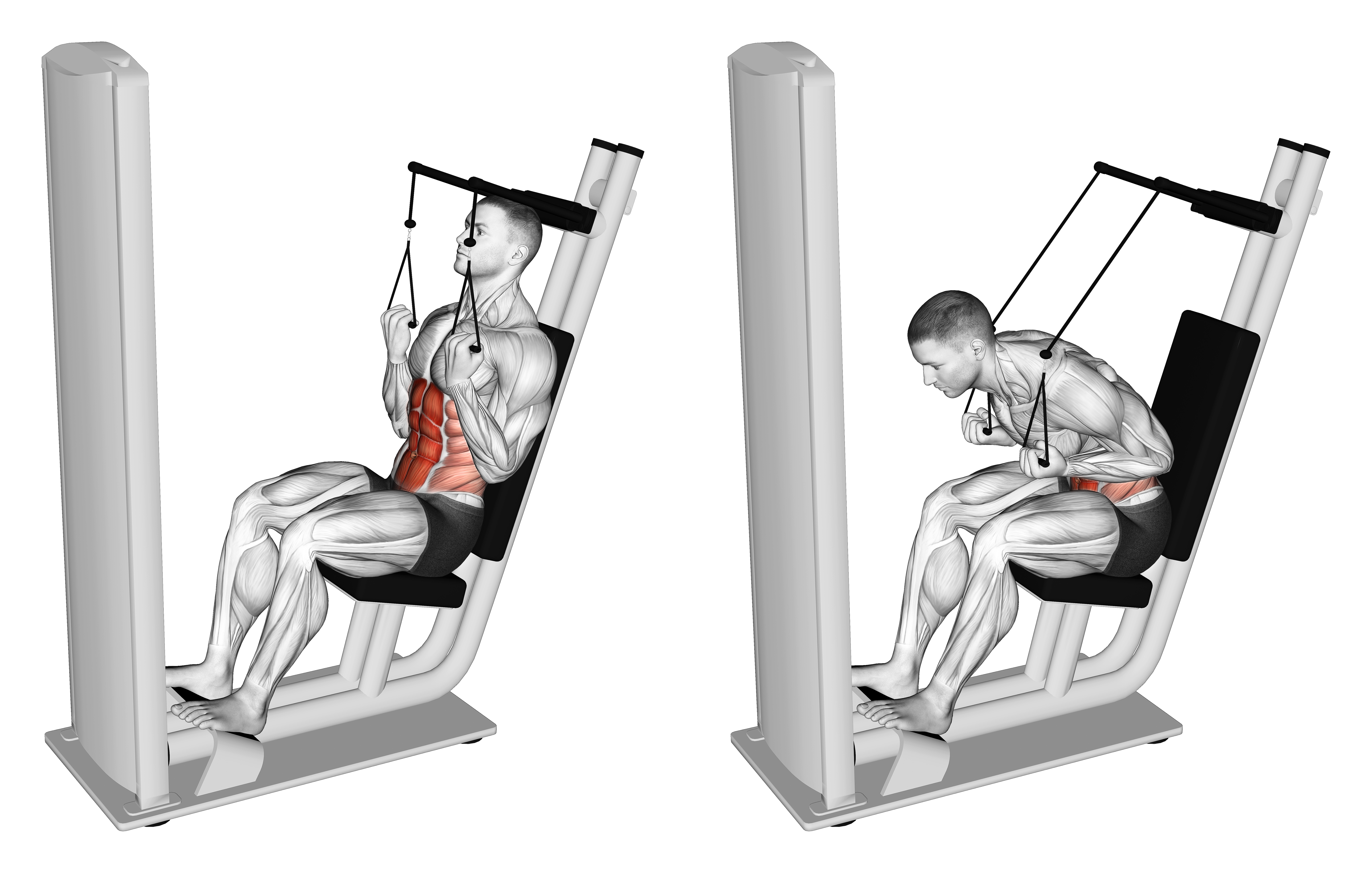 Lever Seated Crunch (version 2)