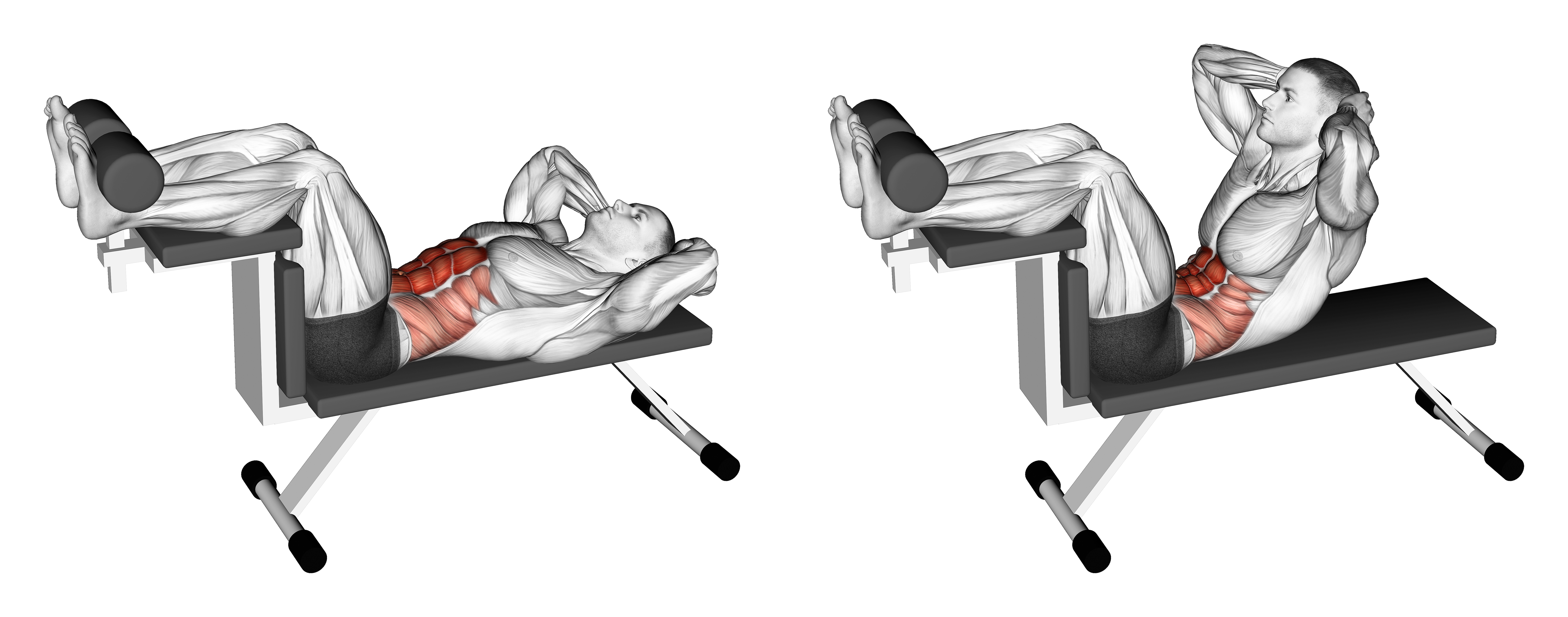Crunch (on Bench) Waist Max