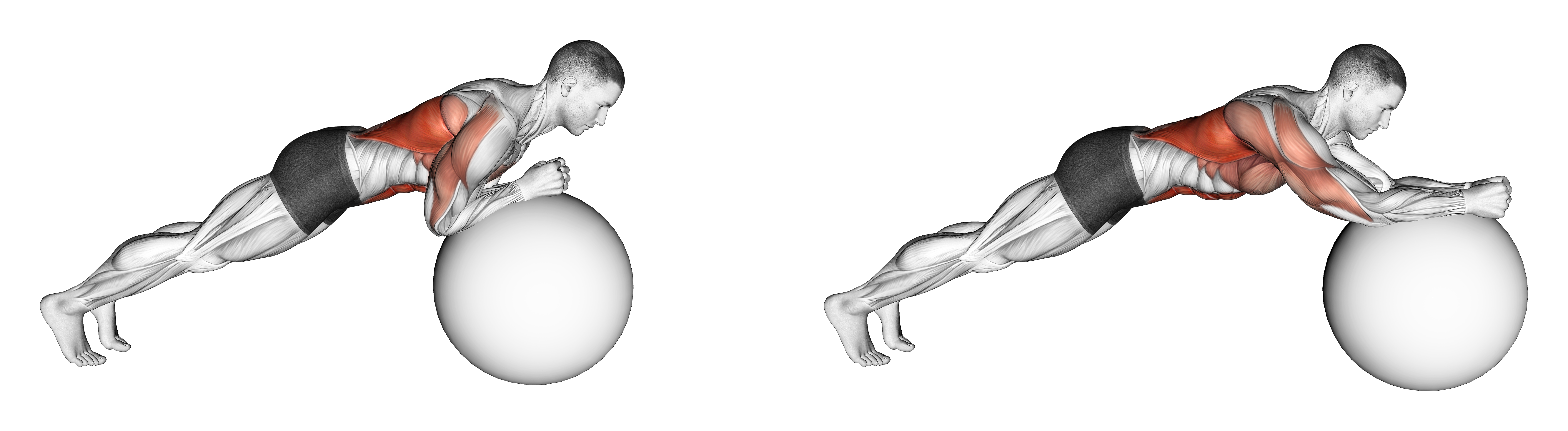 Exercise Ball Body Saw