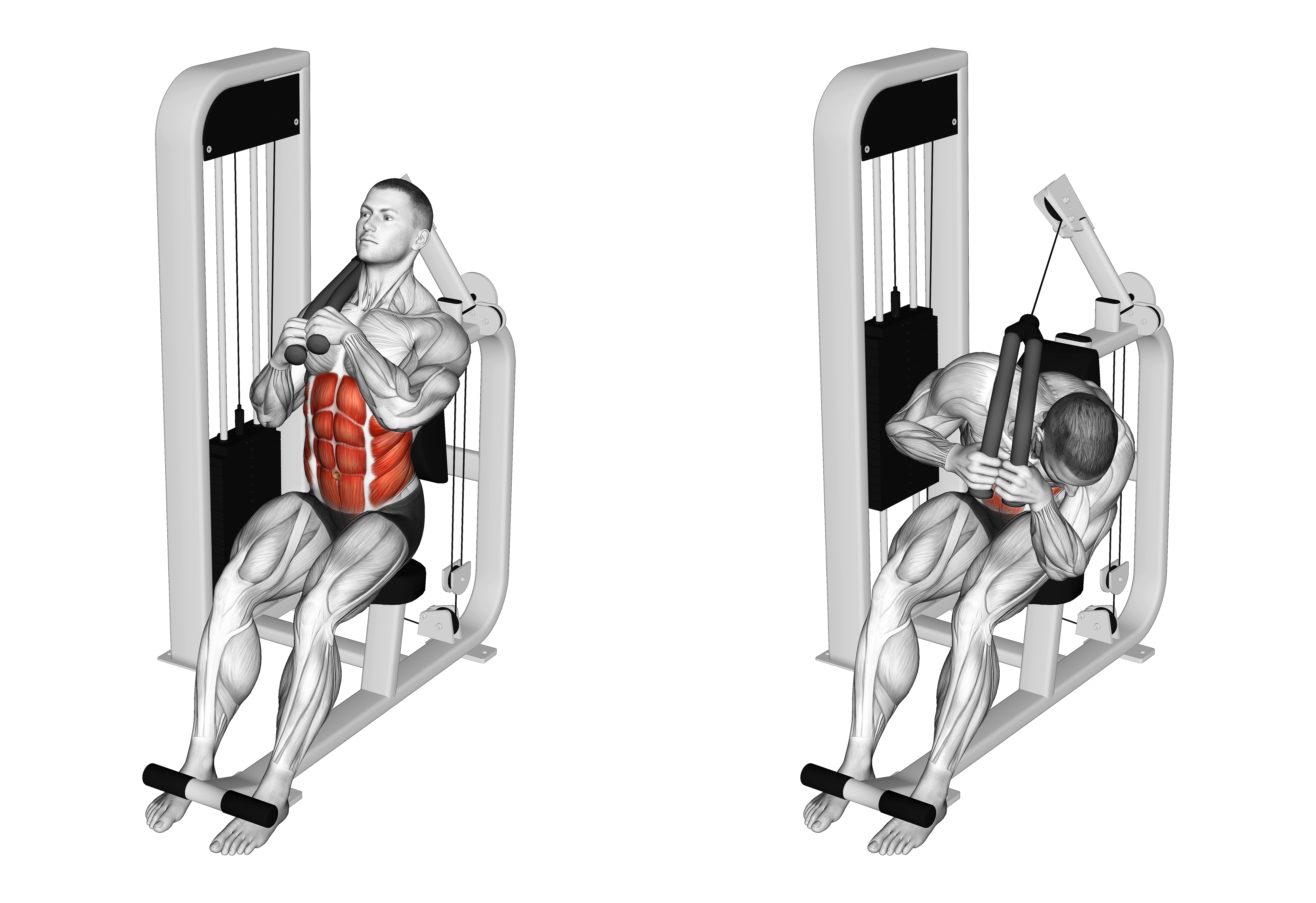 Lever Seated Left Side Crunch