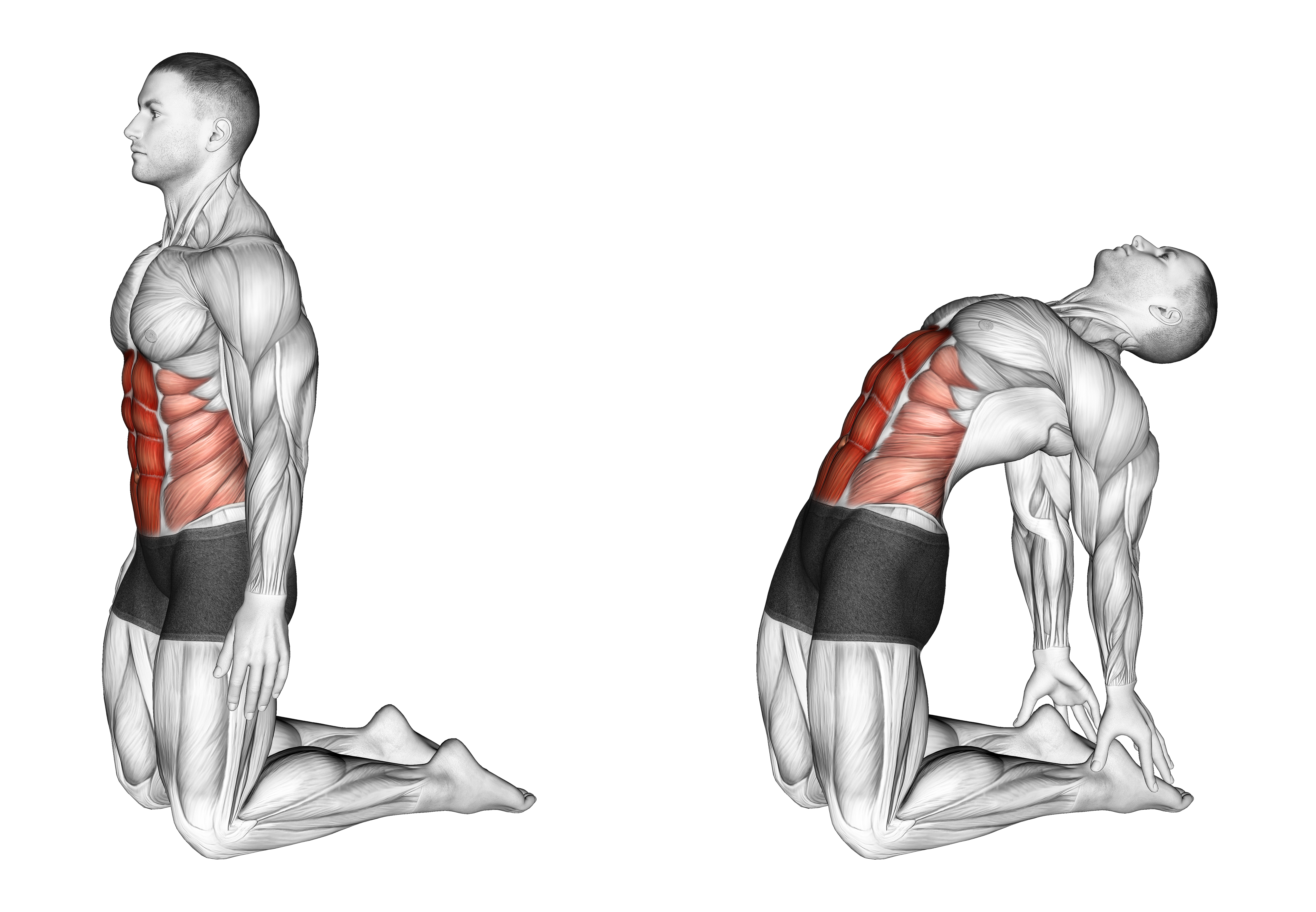 Backward Abdominal Stretch