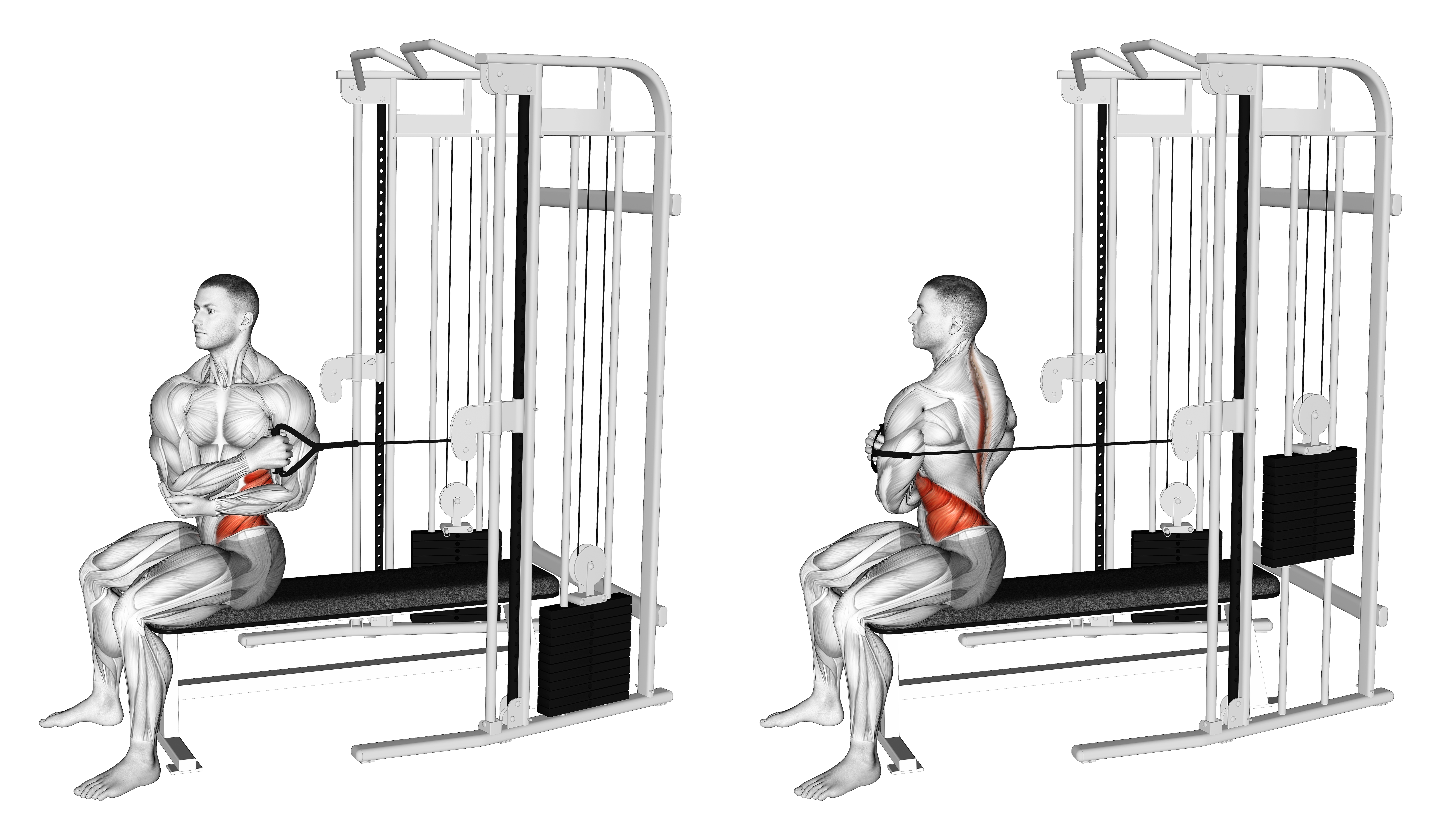 Cable Seated Cross Arm Twist