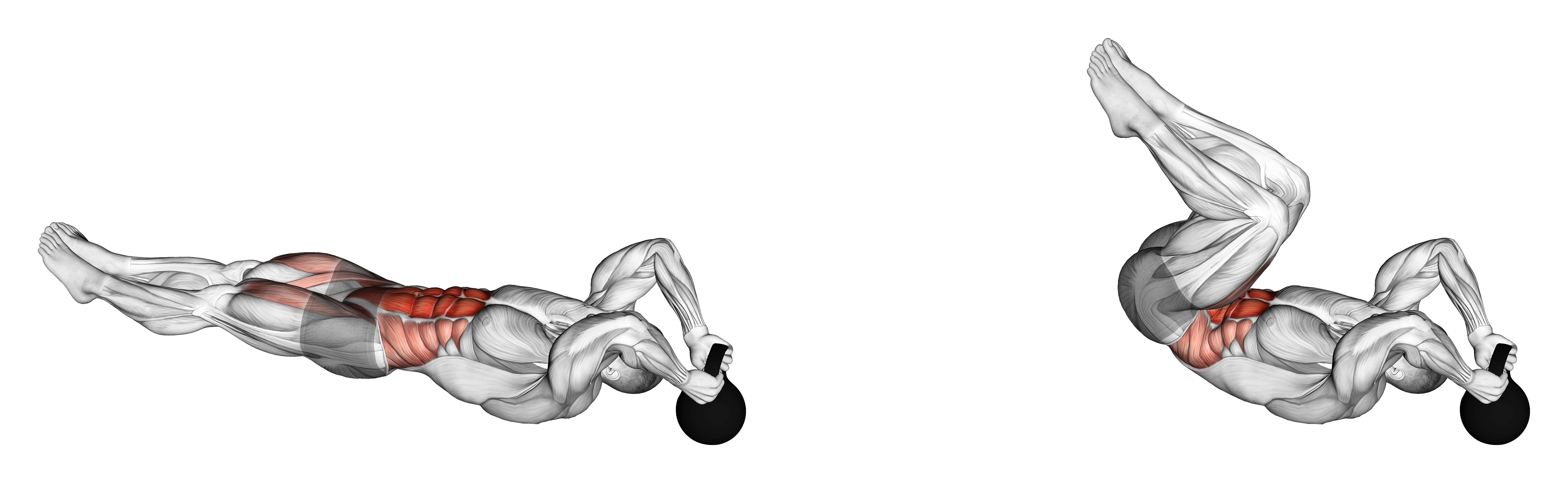 Reverse Crunch To Dead Bug