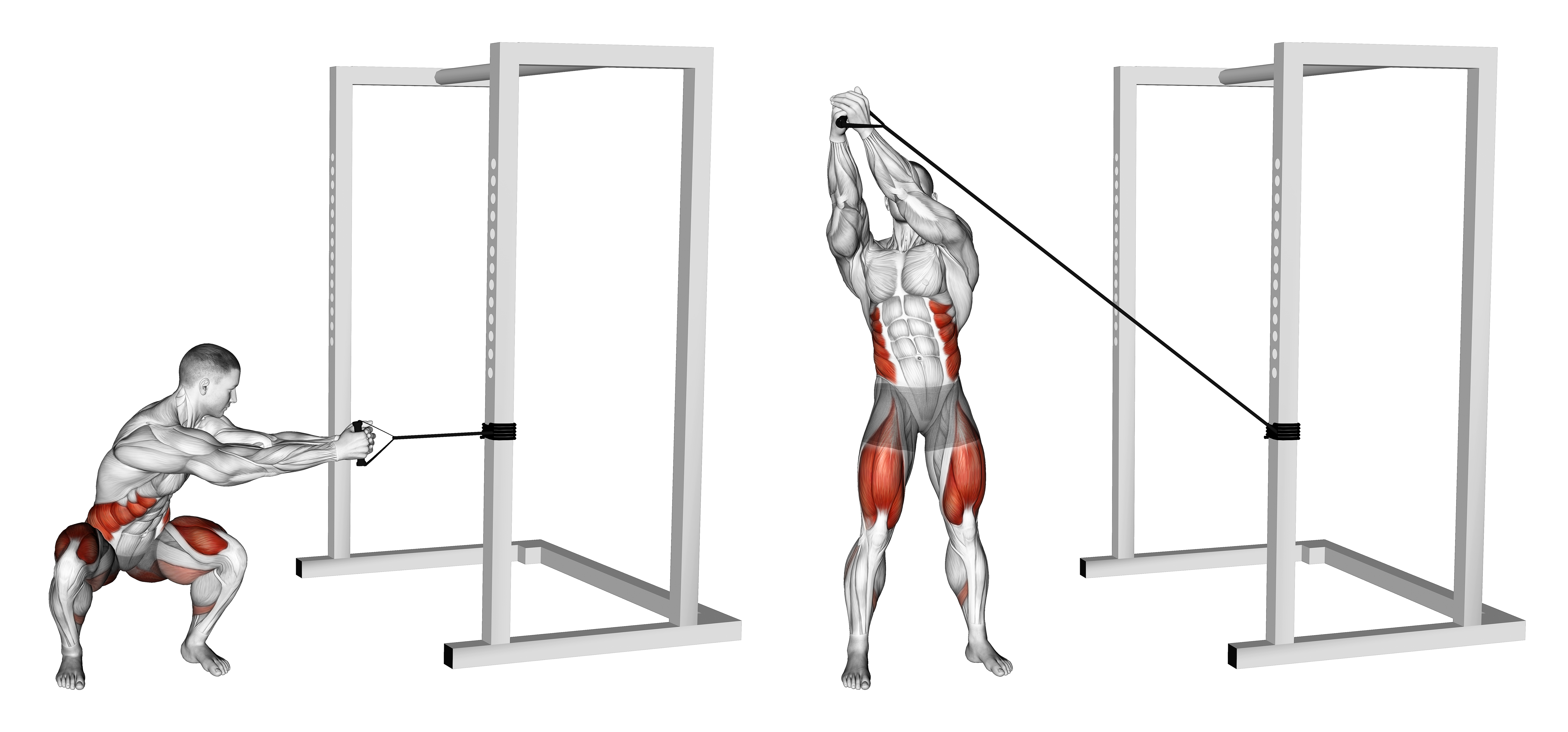 Band Squat Twist