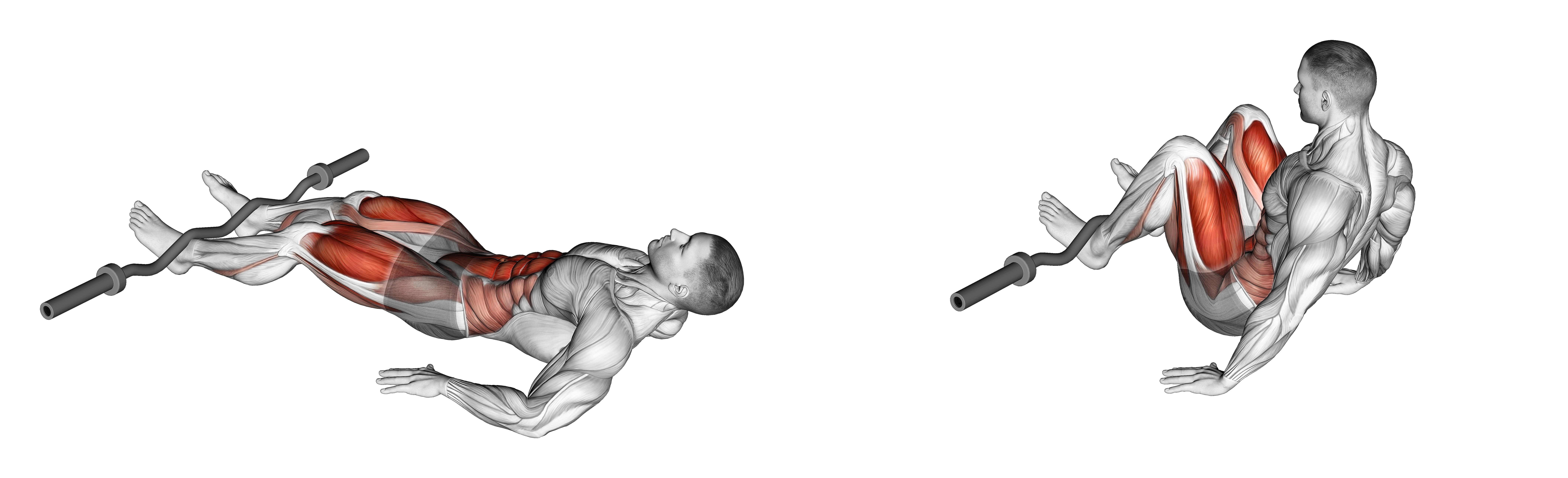Ez Bar Reverse Crunch